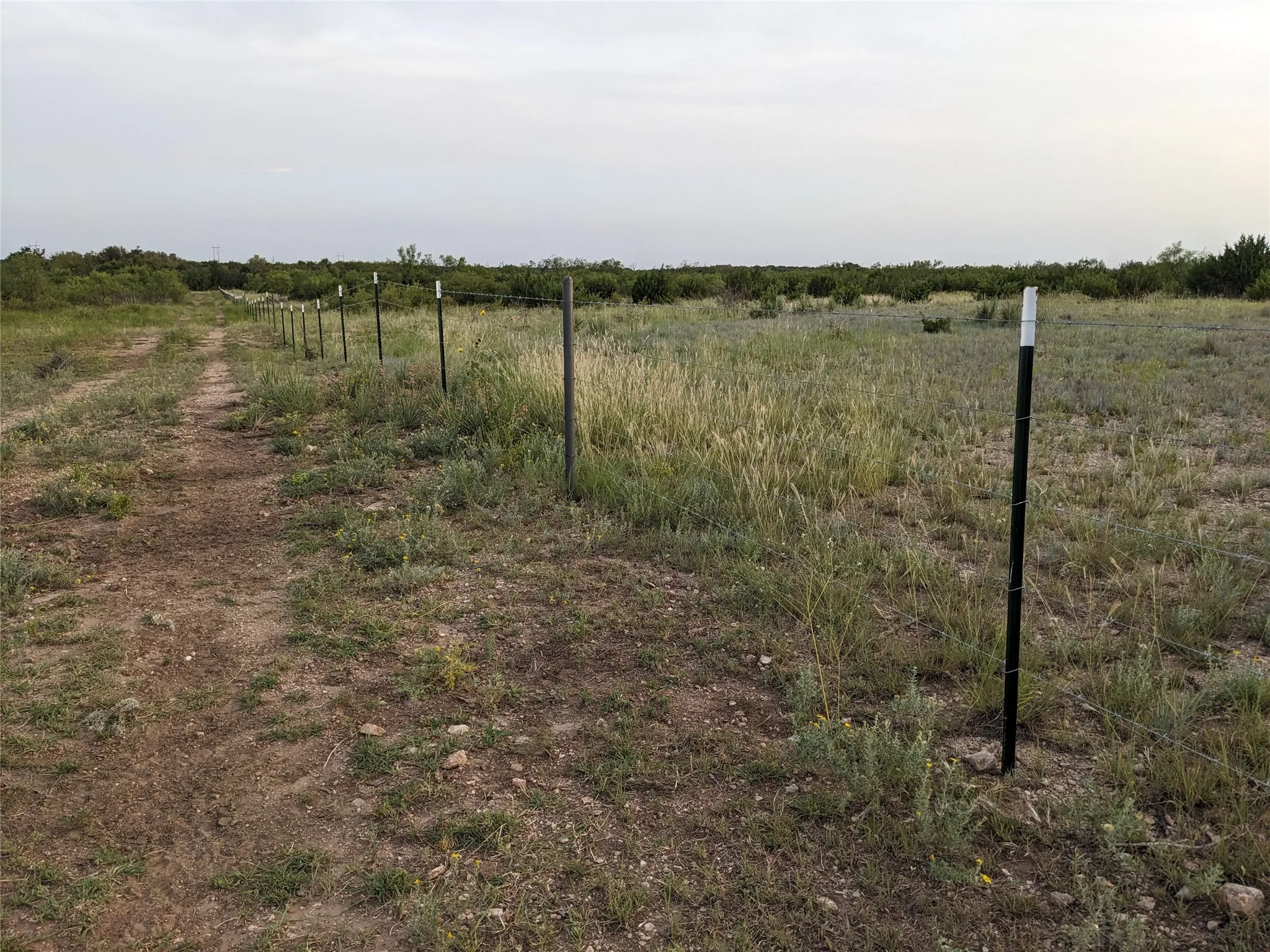 Ranch For Sale in Taylor County , 4801 Fm 1086, Wingate, Texas 79566, 0, 0, Garage spaces, 0 Sqft, built in 0, mls#21350464, Real Estate Agent in Wingate, Homes For Sale in Taylor county, Homes For Sale in Wingate, Realtor in Wingate Texas, Real Estate Brokerage Independent Realty Texas, Luminita Cordes Realtor