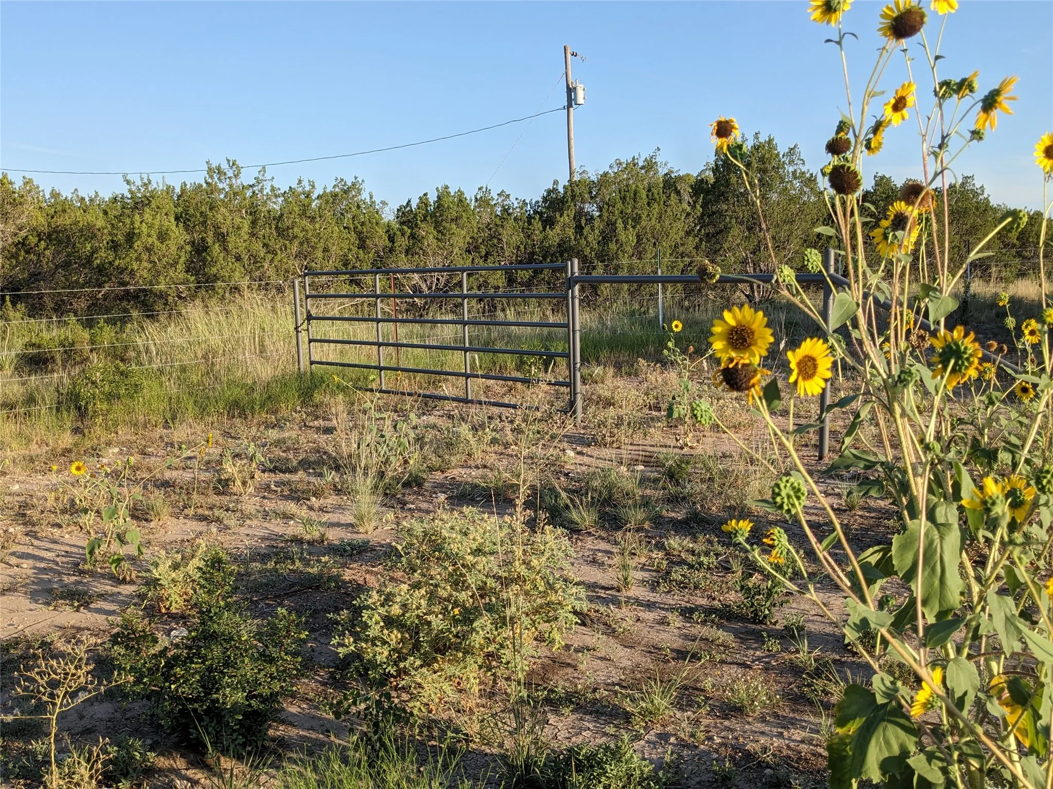 Ranch For Sale in Taylor County , 4801 Fm 1086, Wingate, Texas 79566, 0, 0, Garage spaces, 0 Sqft, built in 0, mls#21350464, Real Estate Agent in Wingate, Homes For Sale in Taylor county, Homes For Sale in Wingate, Realtor in Wingate Texas, Real Estate Brokerage Independent Realty Texas, Luminita Cordes Realtor