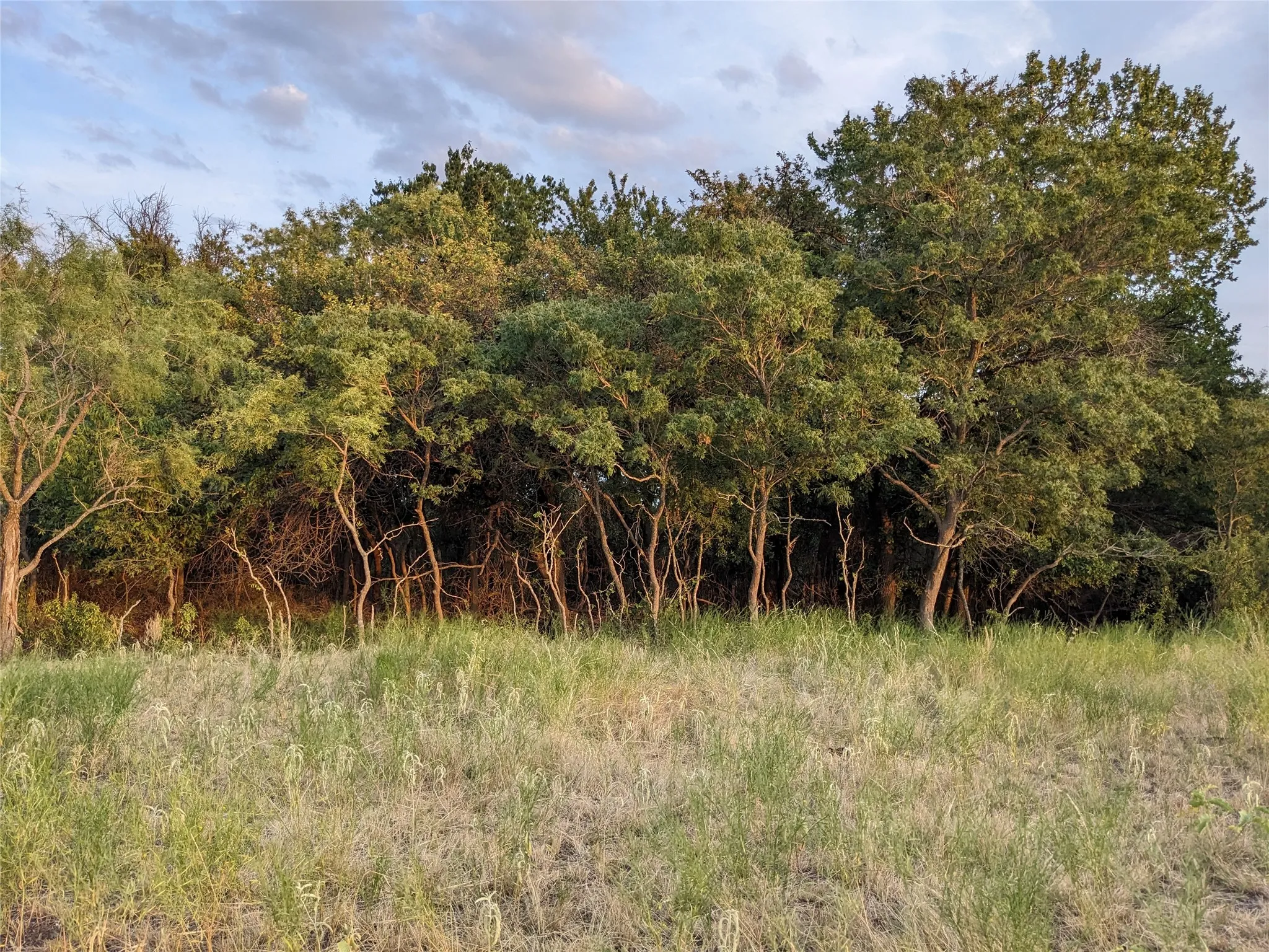 Ranch For Sale in Taylor County , 4801 Fm 1086, Wingate, Texas 79566, 0, 0, Garage spaces, 0 Sqft, built in 0, mls#21350464, Real Estate Agent in Wingate, Homes For Sale in Taylor county, Homes For Sale in Wingate, Realtor in Wingate Texas, Real Estate Brokerage Independent Realty Texas, Luminita Cordes Realtor