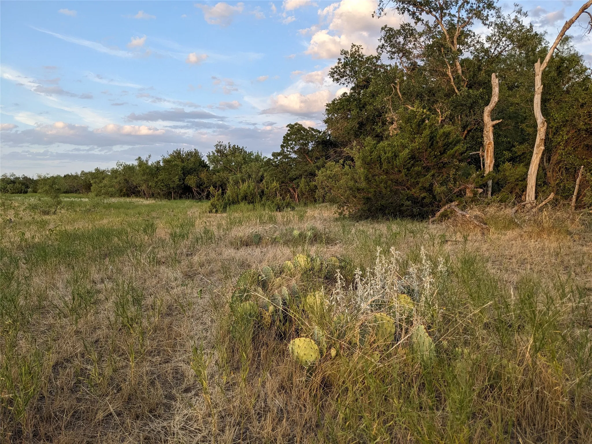 Ranch For Sale in Taylor County , 4801 Fm 1086, Wingate, Texas 79566, 0, 0, Garage spaces, 0 Sqft, built in 0, mls#21350464, Real Estate Agent in Wingate, Homes For Sale in Taylor county, Homes For Sale in Wingate, Realtor in Wingate Texas, Real Estate Brokerage Independent Realty Texas, Luminita Cordes Realtor