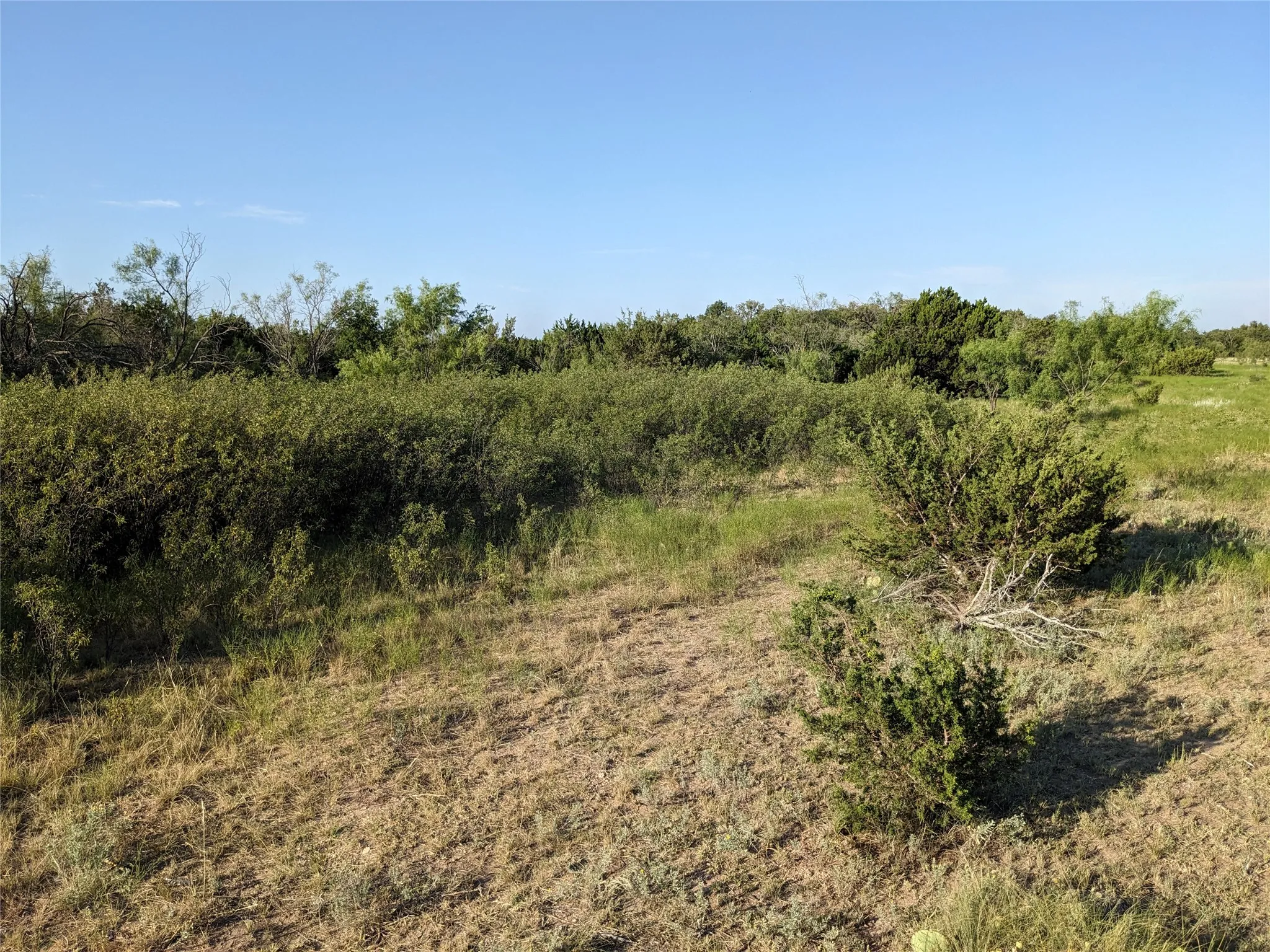 Ranch For Sale in Taylor County , 4801 Fm 1086, Wingate, Texas 79566, 0, 0, Garage spaces, 0 Sqft, built in 0, mls#21350464, Real Estate Agent in Wingate, Homes For Sale in Taylor county, Homes For Sale in Wingate, Realtor in Wingate Texas, Real Estate Brokerage Independent Realty Texas, Luminita Cordes Realtor