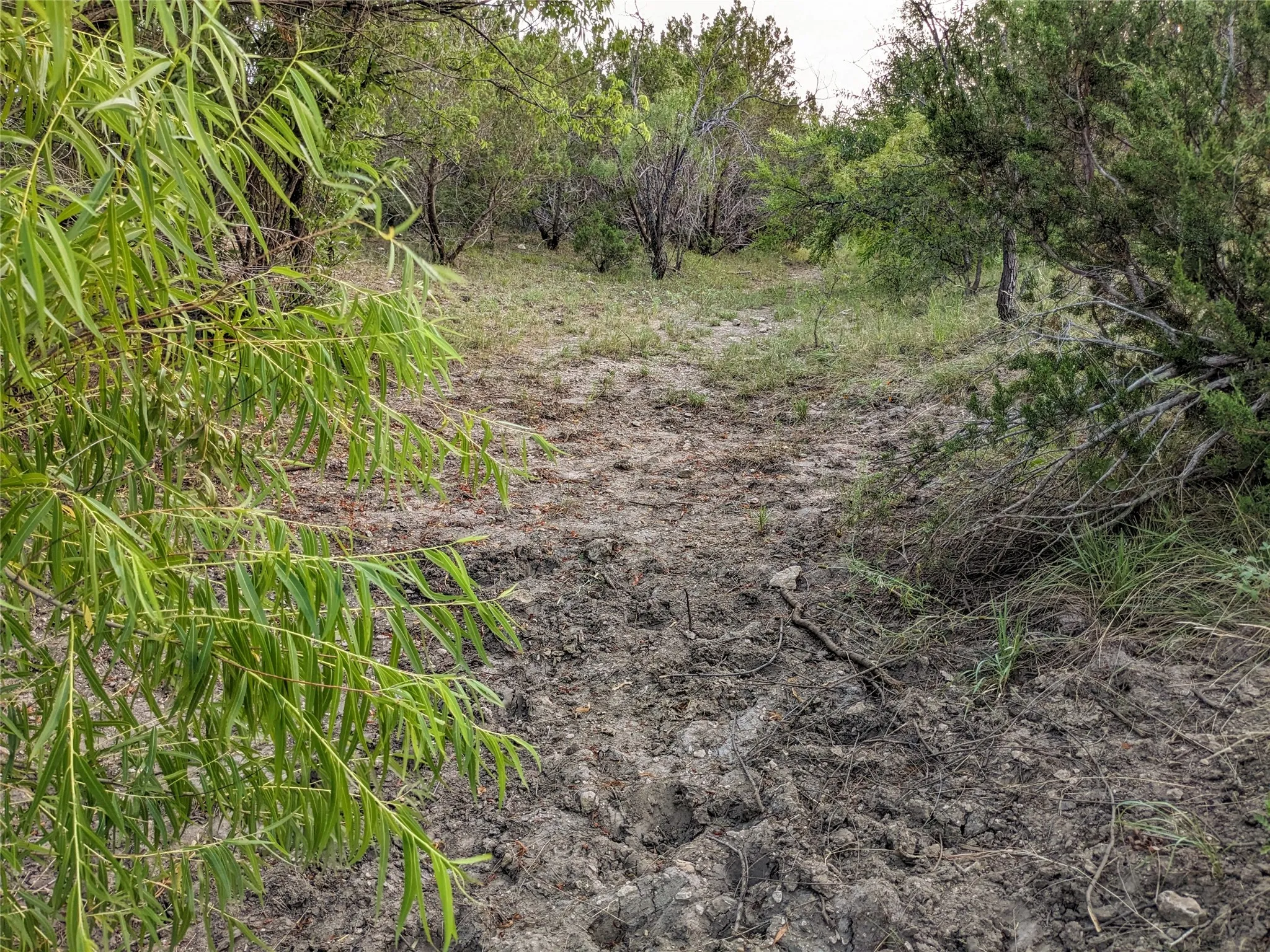 Ranch For Sale in Taylor County , 4801 Fm 1086, Wingate, Texas 79566, 0, 0, Garage spaces, 0 Sqft, built in 0, mls#21350464, Real Estate Agent in Wingate, Homes For Sale in Taylor county, Homes For Sale in Wingate, Realtor in Wingate Texas, Real Estate Brokerage Independent Realty Texas, Luminita Cordes Realtor