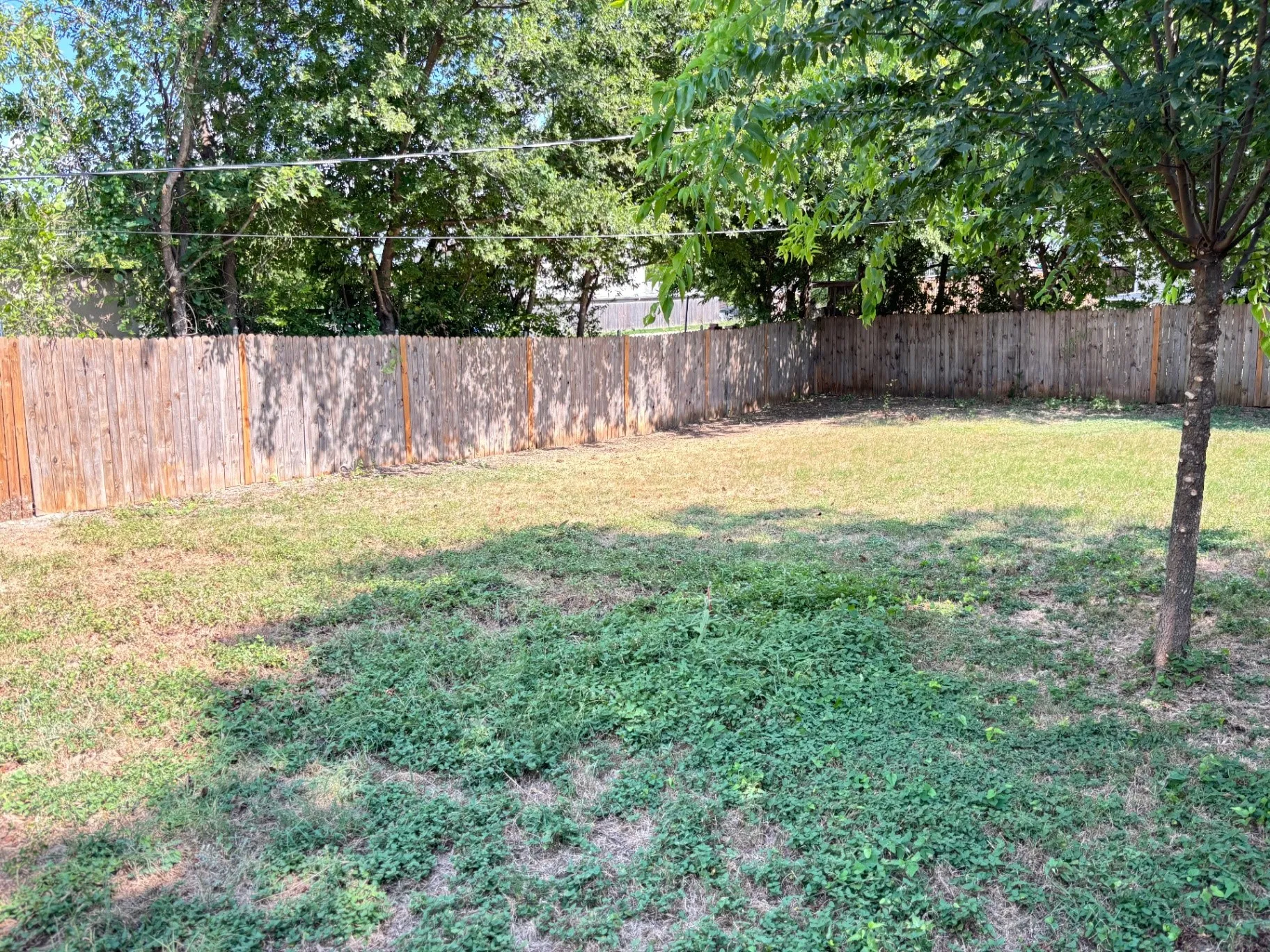 Spacious backyard featuring a full perimeter wood privacy fence, mature trees providing natural shade, and a substantial lawn area