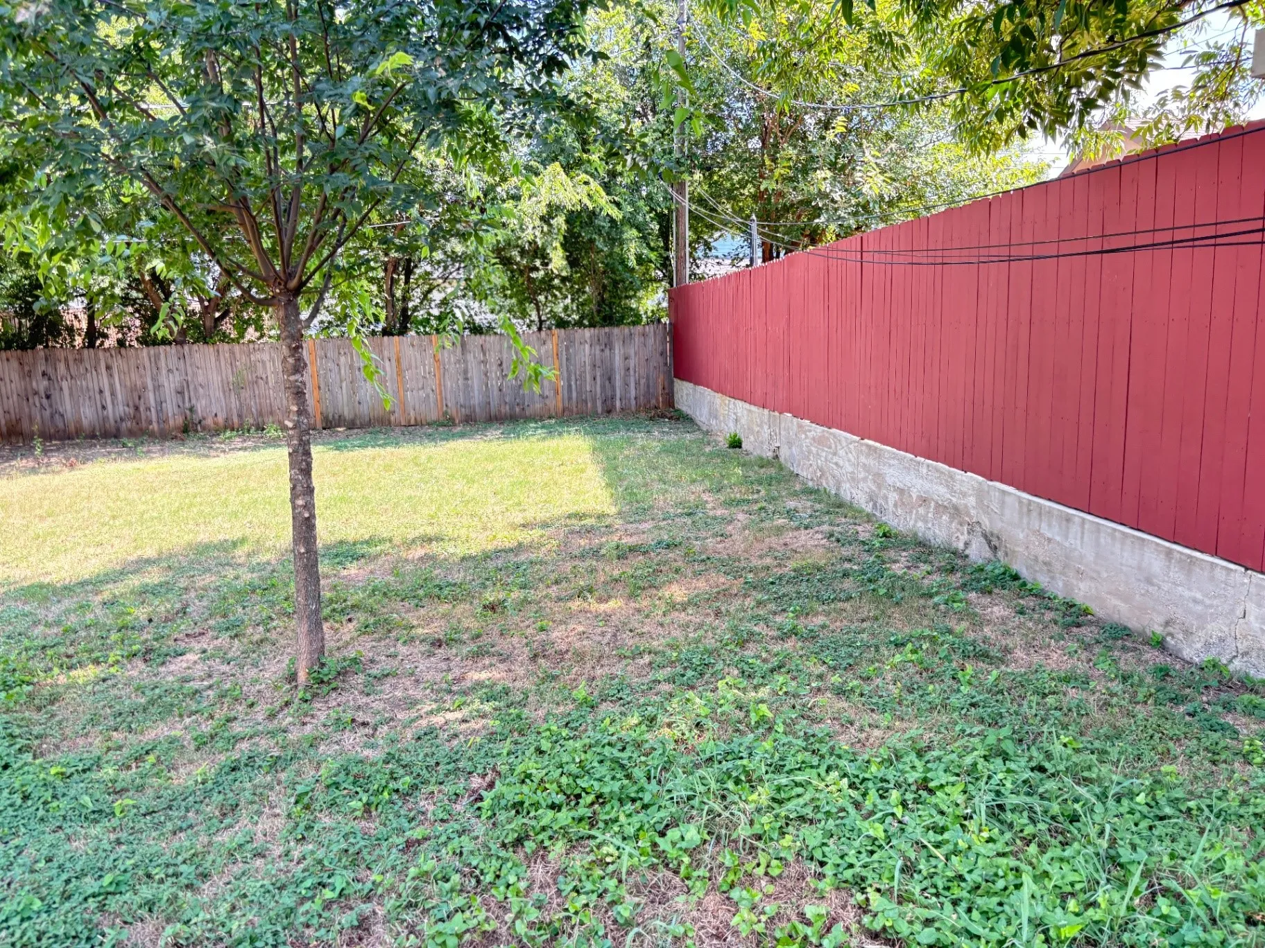 Spacious backyard featuring a mature shade tree, lush lawn, and sturdy perimeter fencing with concrete foundation