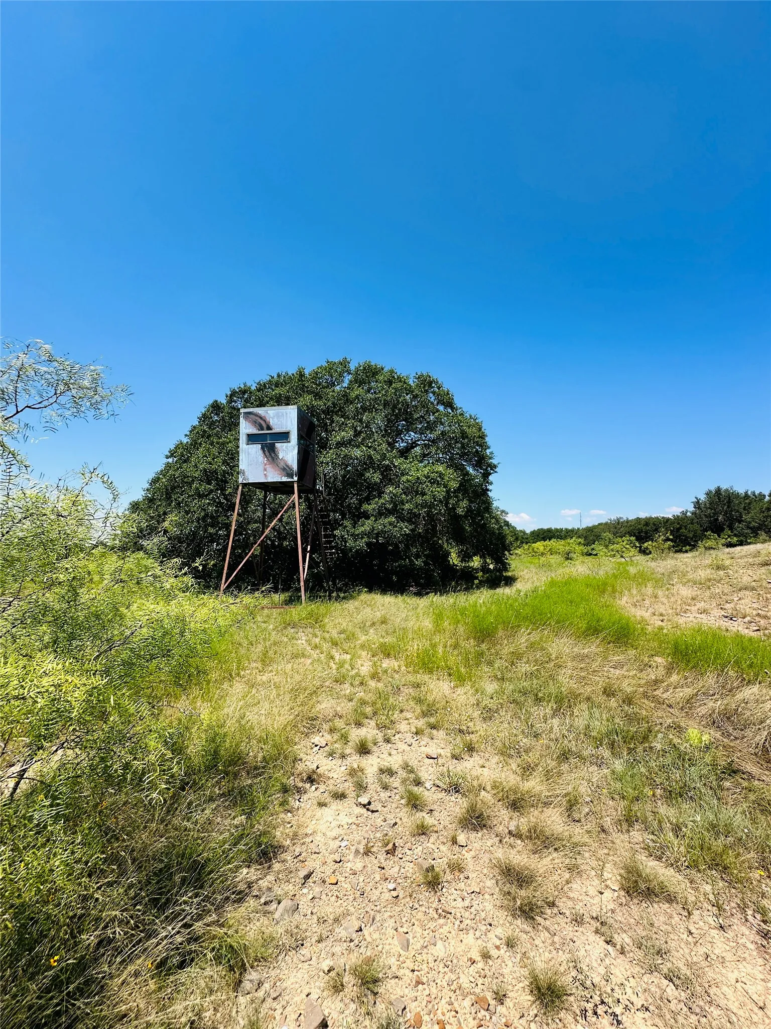 Single Family Residence For Sale in Coleman County , 2017 CR 188, Cross Plains, Texas 76443, 3 Bedroom, 2 Bathroom, 2 Garage spaces, 1,440 Sqft, built in 2014, mls#21349960, Real Estate Agent in Cross Plains, Homes For Sale in Coleman county, Homes For Sale in Cross Plains, Realtor in Cross Plains Texas, Real Estate Brokerage Independent Realty Texas, Luminita Cordes Realtor