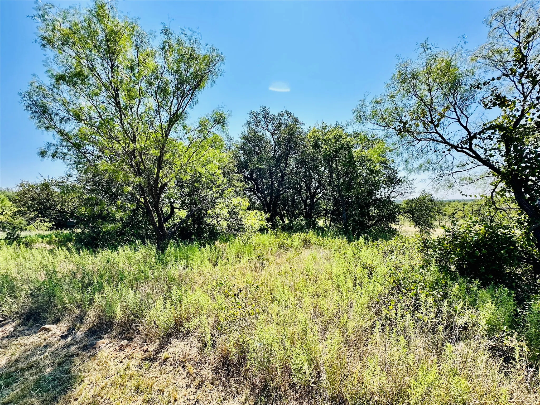 Single Family Residence For Sale in Coleman County , 2017 CR 188, Cross Plains, Texas 76443, 3 Bedroom, 2 Bathroom, 2 Garage spaces, 1,440 Sqft, built in 2014, mls#21349960, Real Estate Agent in Cross Plains, Homes For Sale in Coleman county, Homes For Sale in Cross Plains, Realtor in Cross Plains Texas, Real Estate Brokerage Independent Realty Texas, Luminita Cordes Realtor