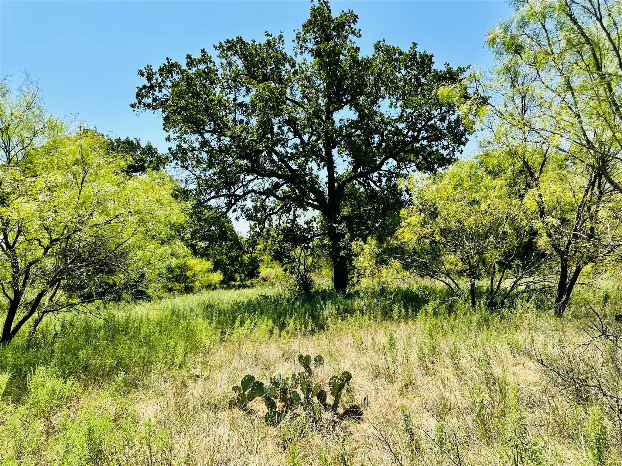 Single Family Residence For Sale in Coleman County , 2017 CR 188, Cross Plains, Texas 76443, 3 Bedroom, 2 Bathroom, 2 Garage spaces, 1,440 Sqft, built in 2014, mls#21349960, Real Estate Agent in Cross Plains, Homes For Sale in Coleman county, Homes For Sale in Cross Plains, Realtor in Cross Plains Texas, Real Estate Brokerage Independent Realty Texas, Luminita Cordes Realtor