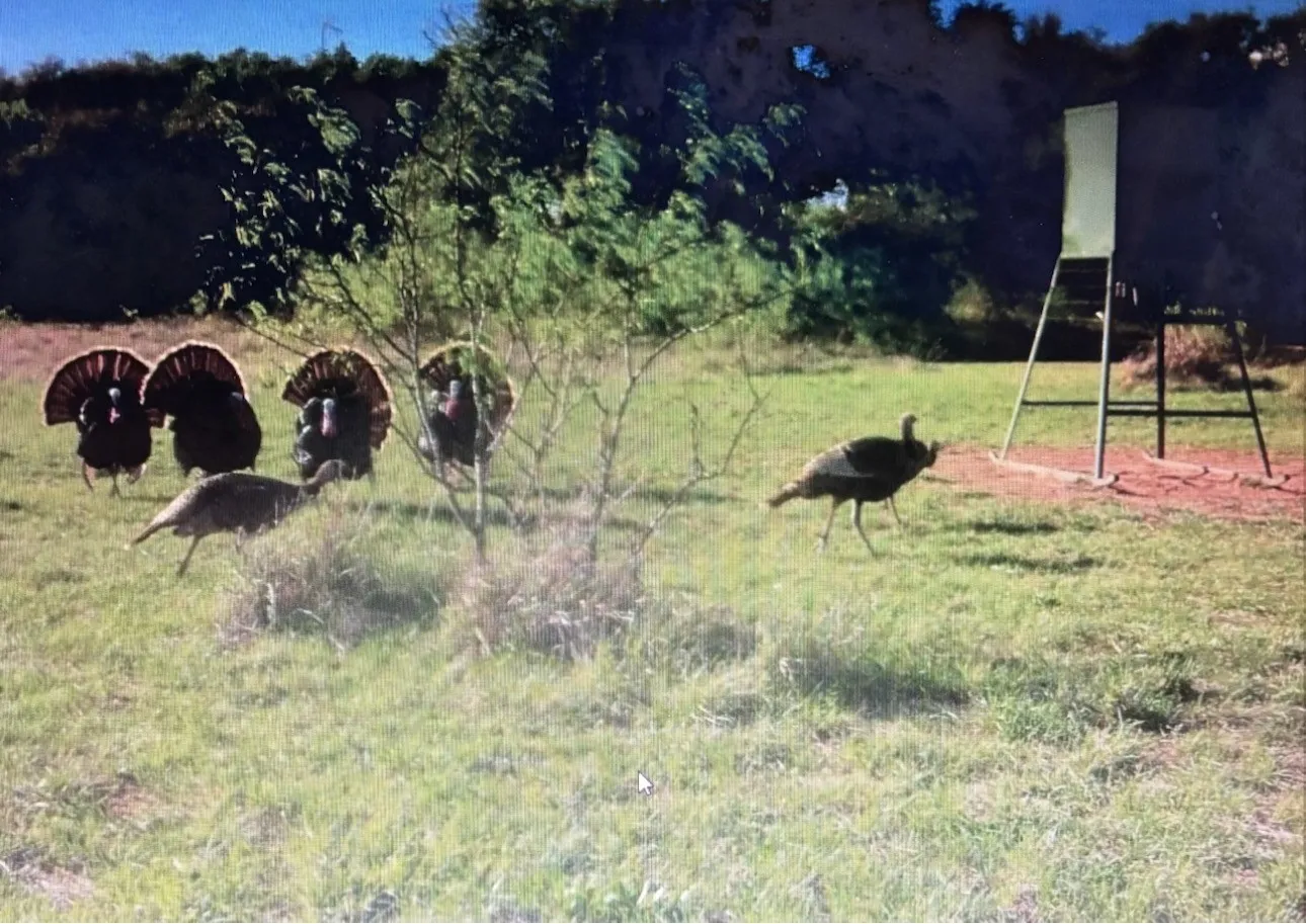 Single Family Residence For Sale in Coleman County , 2017 CR 188, Cross Plains, Texas 76443, 3 Bedroom, 2 Bathroom, 2 Garage spaces, 1,440 Sqft, built in 2014, mls#21349960, Real Estate Agent in Cross Plains, Homes For Sale in Coleman county, Homes For Sale in Cross Plains, Realtor in Cross Plains Texas, Real Estate Brokerage Independent Realty Texas, Luminita Cordes Realtor