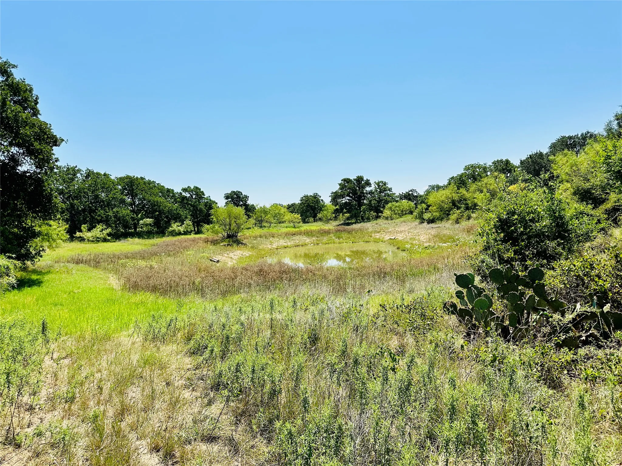 Single Family Residence For Sale in Coleman County , 2017 CR 188, Cross Plains, Texas 76443, 3 Bedroom, 2 Bathroom, 2 Garage spaces, 1,440 Sqft, built in 2014, mls#21349960, Real Estate Agent in Cross Plains, Homes For Sale in Coleman county, Homes For Sale in Cross Plains, Realtor in Cross Plains Texas, Real Estate Brokerage Independent Realty Texas, Luminita Cordes Realtor