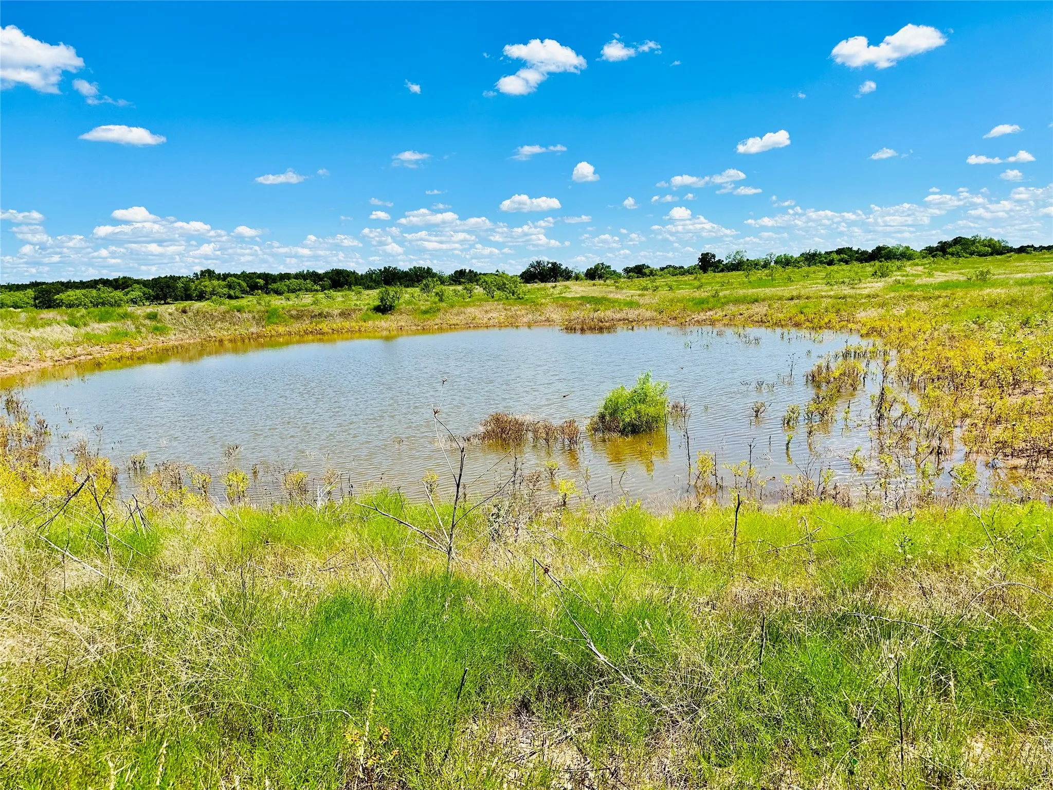 Single Family Residence For Sale in Coleman County , 2017 CR 188, Cross Plains, Texas 76443, 3 Bedroom, 2 Bathroom, 2 Garage spaces, 1,440 Sqft, built in 2014, mls#21349960, Real Estate Agent in Cross Plains, Homes For Sale in Coleman county, Homes For Sale in Cross Plains, Realtor in Cross Plains Texas, Real Estate Brokerage Independent Realty Texas, Luminita Cordes Realtor