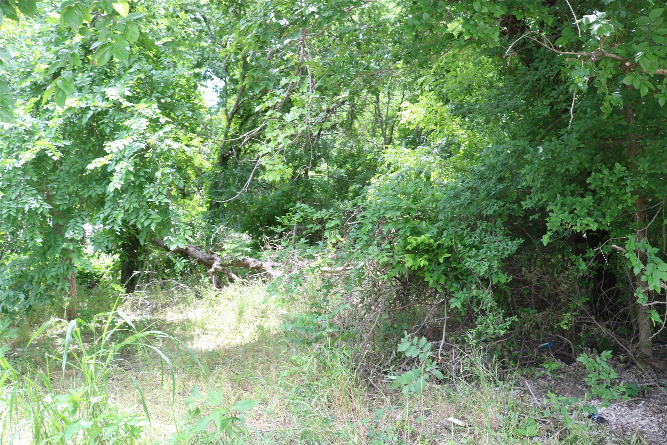 Unimproved Land For Sale in Erath County , 00 County Road 282, Dublin, Texas 76446, 0, 0, Garage spaces, 0 Sqft, built in 0, Price $33,300, mls#21295579, Real Estate Agent in Dublin, Homes For Sale in Erath county, Homes For Sale in Dublin, Realtor in Dublin Texas, Real Estate Brokerage Independent Realty Texas, Luminita Cordes Realtor
