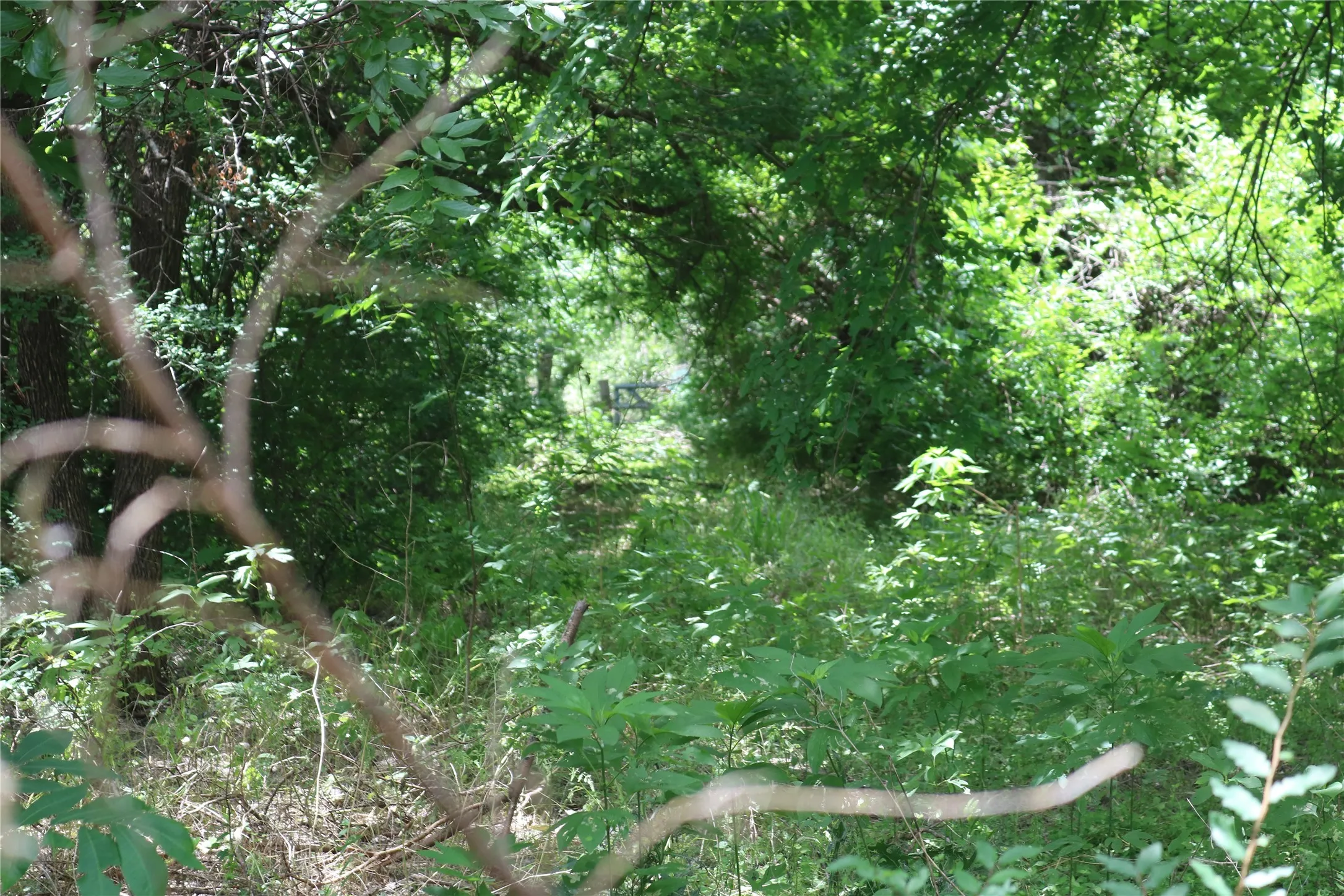 Unimproved Land For Sale in Erath County , 00 County Road 282, Dublin, Texas 76446, 0, 0, Garage spaces, 0 Sqft, built in 0, Price $33,300, mls#21295579, Real Estate Agent in Dublin, Homes For Sale in Erath county, Homes For Sale in Dublin, Realtor in Dublin Texas, Real Estate Brokerage Independent Realty Texas, Luminita Cordes Realtor