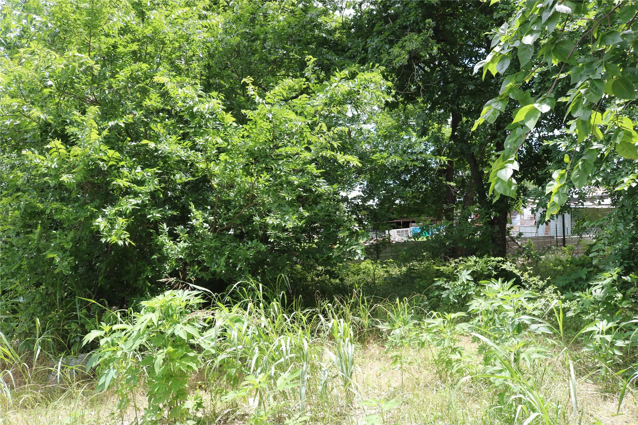 Unimproved Land For Sale in Erath County , 00 County Road 282, Dublin, Texas 76446, 0, 0, Garage spaces, 0 Sqft, built in 0, Price $33,300, mls#21295579, Real Estate Agent in Dublin, Homes For Sale in Erath county, Homes For Sale in Dublin, Realtor in Dublin Texas, Real Estate Brokerage Independent Realty Texas, Luminita Cordes Realtor