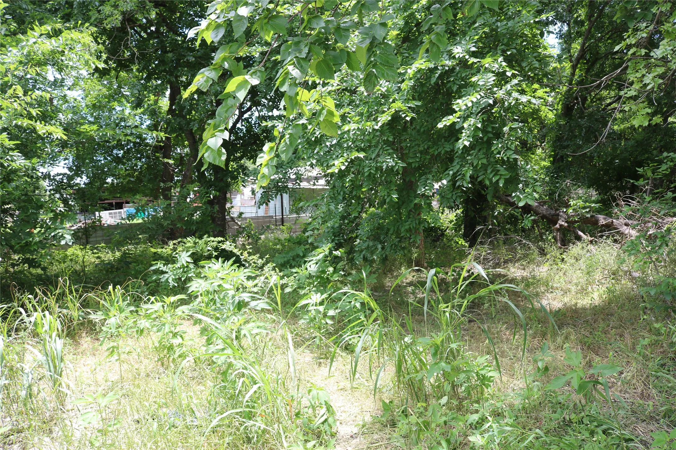 Unimproved Land For Sale in Erath County , 00 County Road 282, Dublin, Texas 76446, 0, 0, Garage spaces, 0 Sqft, built in 0, Price $33,300, mls#21295579, Real Estate Agent in Dublin, Homes For Sale in Erath county, Homes For Sale in Dublin, Realtor in Dublin Texas, Real Estate Brokerage Independent Realty Texas, Luminita Cordes Realtor