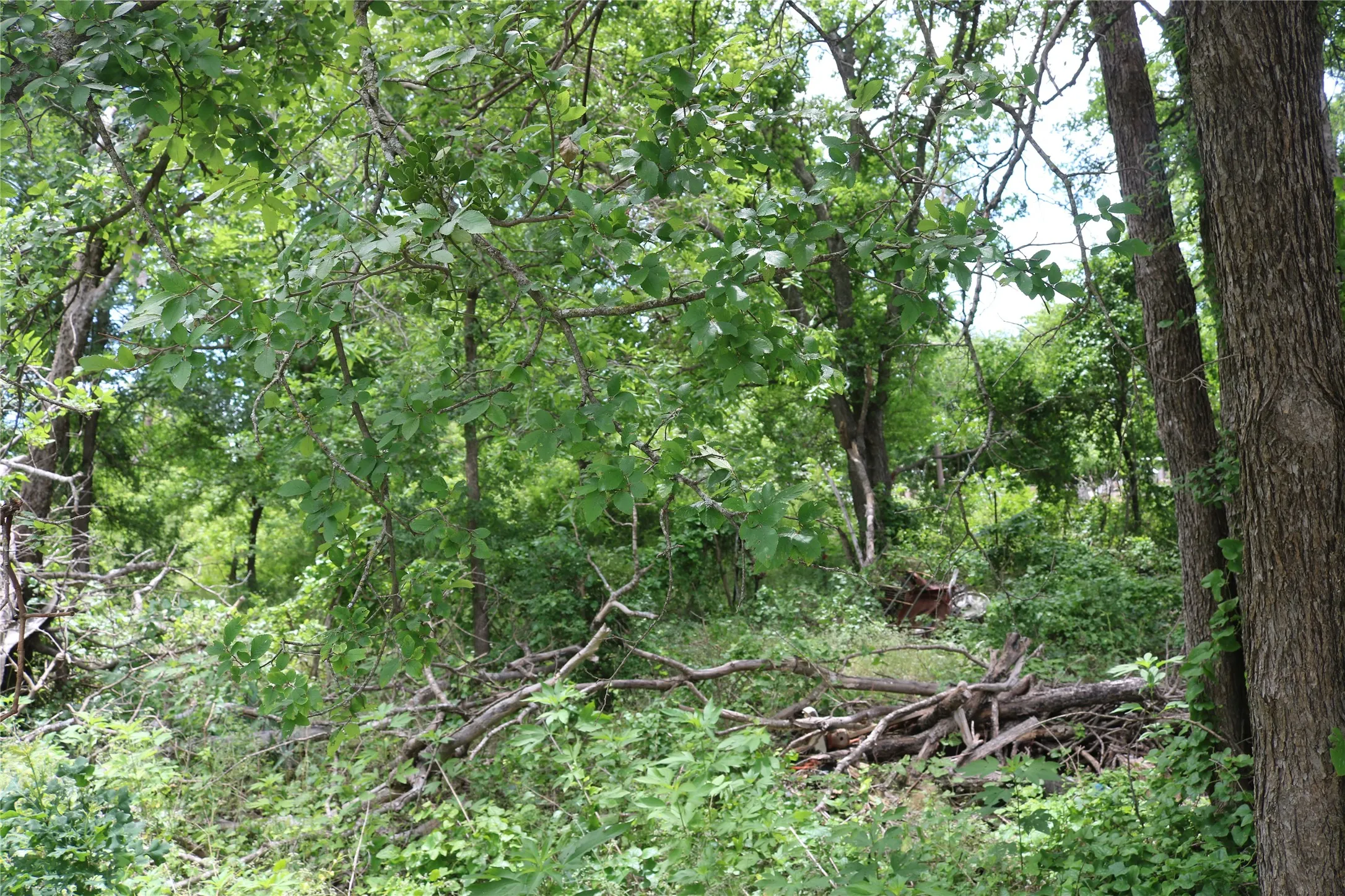 Unimproved Land For Sale in Erath County , 0 County Road 282, Dublin, Texas 76446, 0, 0, Garage spaces, 0 Sqft, built in 0, Price $10,000, mls#21285346, Real Estate Agent in Dublin, Homes For Sale in Erath county, Homes For Sale in Dublin, Realtor in Dublin Texas, Real Estate Brokerage Independent Realty Texas, Luminita Cordes Realtor