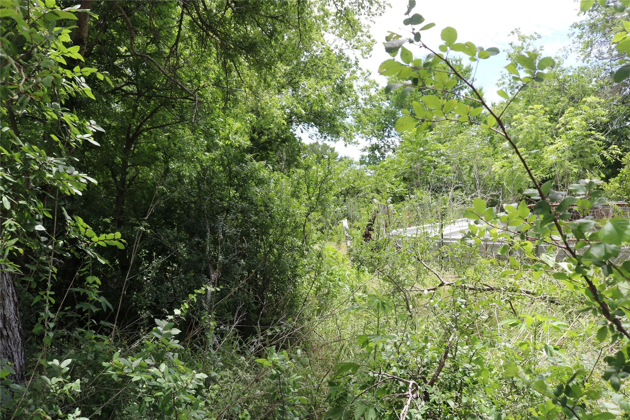 Unimproved Land For Sale in Erath County , 0 County Road 282, Dublin, Texas 76446, 0, 0, Garage spaces, 0 Sqft, built in 0, Price $10,000, mls#21285346, Real Estate Agent in Dublin, Homes For Sale in Erath county, Homes For Sale in Dublin, Realtor in Dublin Texas, Real Estate Brokerage Independent Realty Texas, Luminita Cordes Realtor