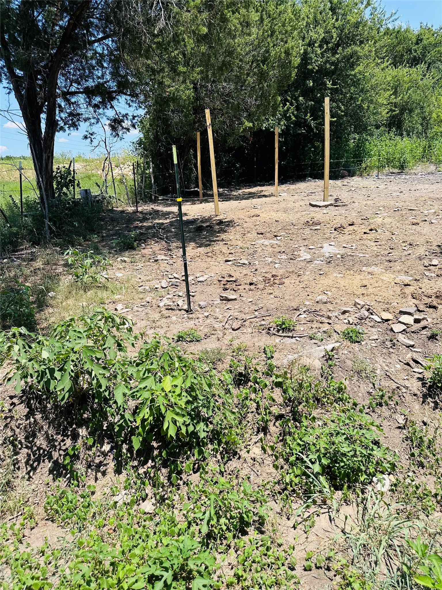 Single Family Residence For Sale in Hood County , 3006 Wagon Train Trail, Granbury, Texas 76048, 2 Bedroom, 1 Bathroom, Garage spaces, 1,020 Sqft, built in 2004, mls#21350166, Real Estate Agent in Granbury, Homes For Sale in Hood county, Homes For Sale in Granbury, Realtor in Granbury Texas, Real Estate Brokerage Independent Realty Texas, Luminita Cordes Realtor
