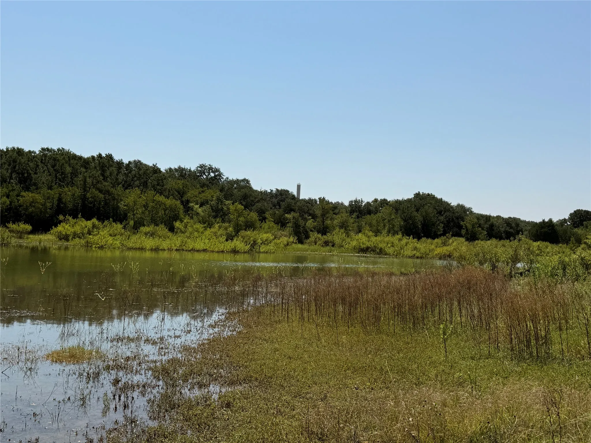 Improved Land For Sale in Brown County , 221 County Road 600, Brownwood, Texas 76801, 0, 0, Garage spaces, 0 Sqft, built in 0, Price $140,000, mls#21350579, Real Estate Agent in Brownwood, Homes For Sale in Brown county, Homes For Sale in Brownwood, Realtor in Brownwood Texas, Real Estate Brokerage Independent Realty Texas, Luminita Cordes Realtor