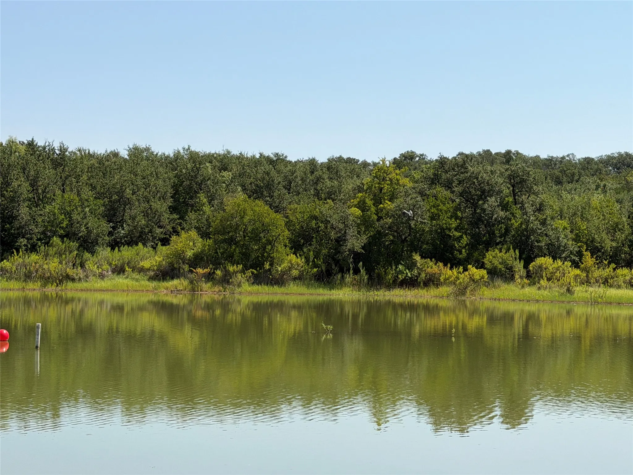 Improved Land For Sale in Brown County , 221 County Road 600, Brownwood, Texas 76801, 0, 0, Garage spaces, 0 Sqft, built in 0, Price $140,000, mls#21350579, Real Estate Agent in Brownwood, Homes For Sale in Brown county, Homes For Sale in Brownwood, Realtor in Brownwood Texas, Real Estate Brokerage Independent Realty Texas, Luminita Cordes Realtor