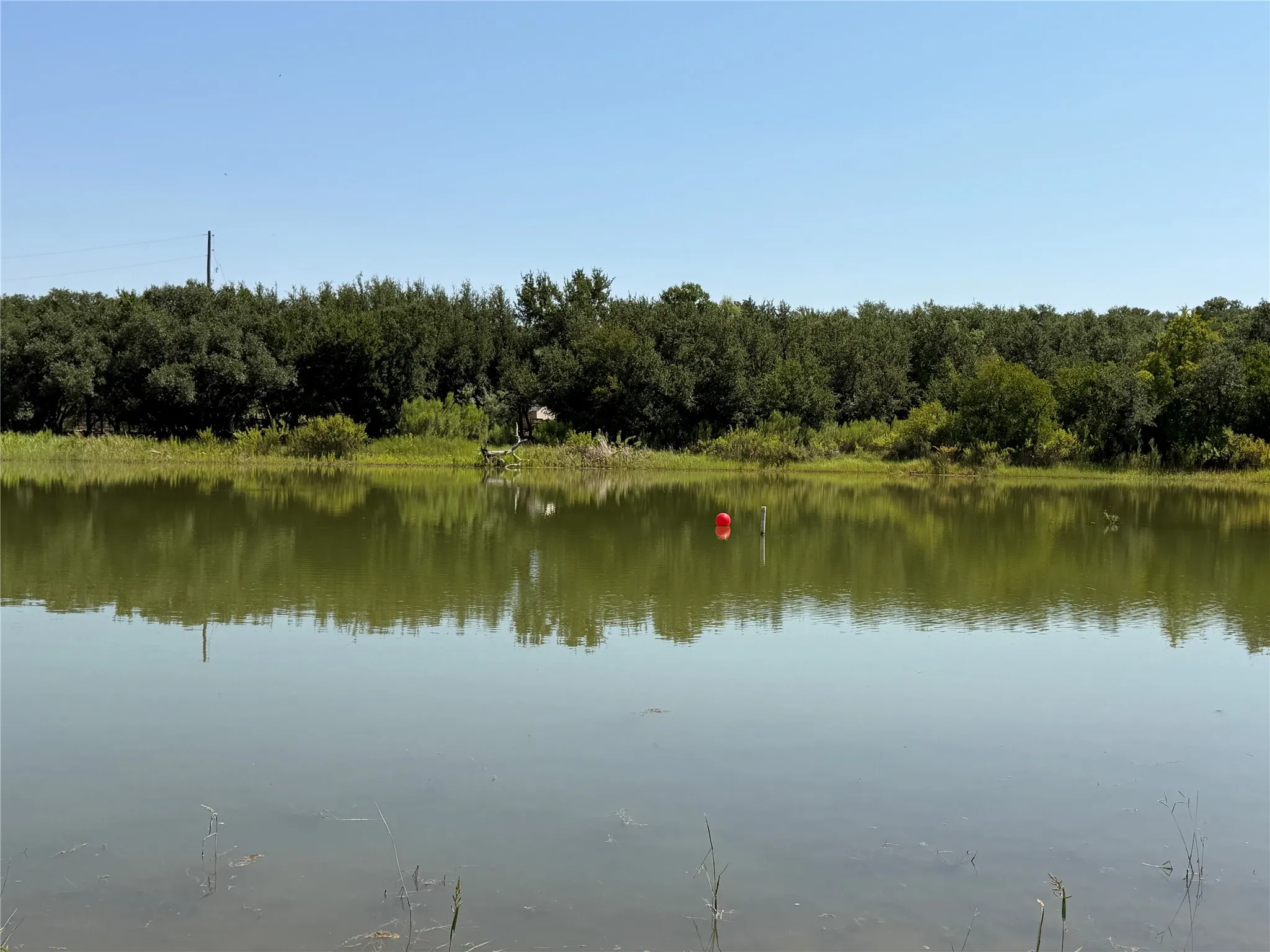 Improved Land For Sale in Brown County , 221 County Road 600, Brownwood, Texas 76801, 0, 0, Garage spaces, 0 Sqft, built in 0, Price $140,000, mls#21350579, Real Estate Agent in Brownwood, Homes For Sale in Brown county, Homes For Sale in Brownwood, Realtor in Brownwood Texas, Real Estate Brokerage Independent Realty Texas, Luminita Cordes Realtor