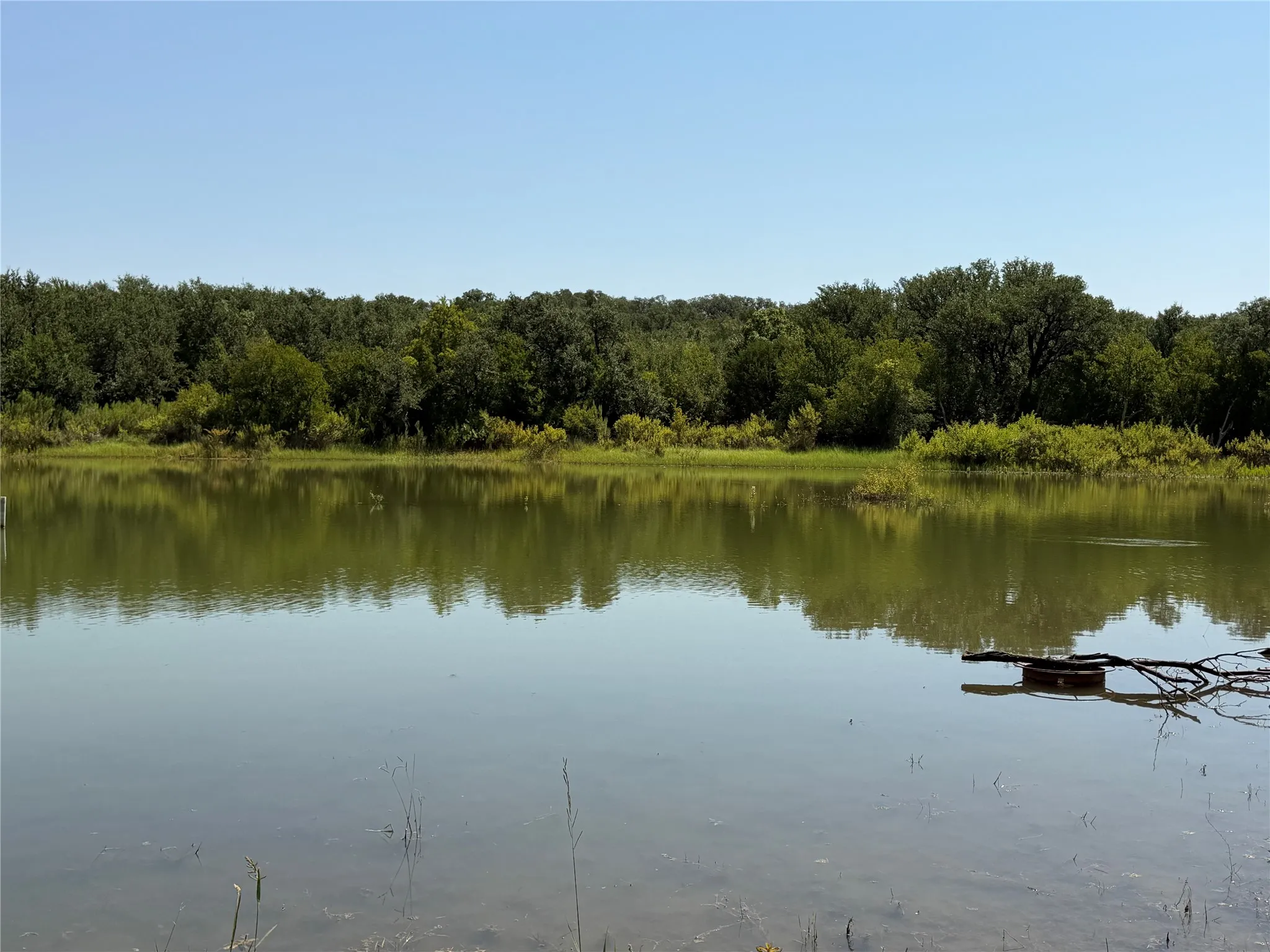 Improved Land For Sale in Brown County , 221 County Road 600, Brownwood, Texas 76801, 0, 0, Garage spaces, 0 Sqft, built in 0, Price $140,000, mls#21350579, Real Estate Agent in Brownwood, Homes For Sale in Brown county, Homes For Sale in Brownwood, Realtor in Brownwood Texas, Real Estate Brokerage Independent Realty Texas, Luminita Cordes Realtor