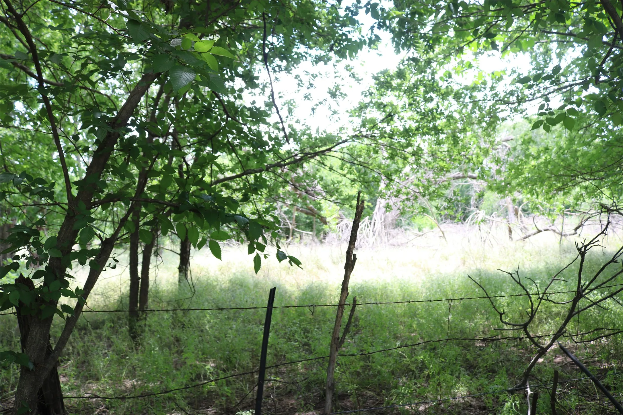 East side of property, looking in toward the middle.