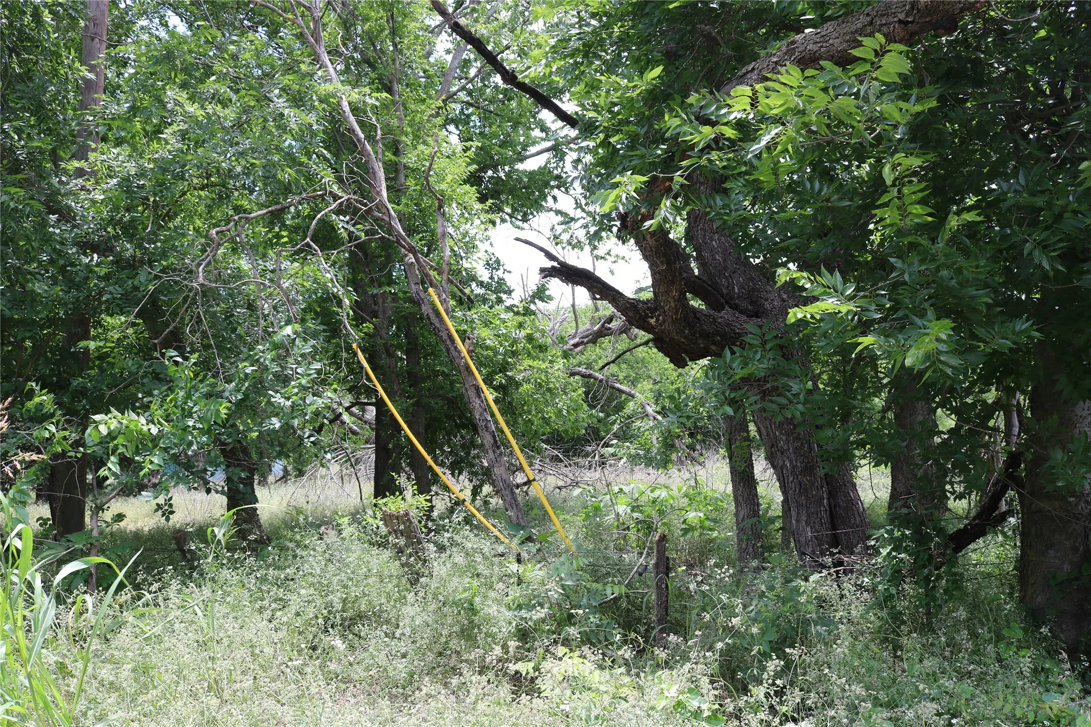 Unimproved Land For Sale in Erath County , 000 County Road 282, Dublin, Texas 76446, 0, 0, Garage spaces, 0 Sqft, built in 0, Price $24,750, mls#21295554, Real Estate Agent in Dublin, Homes For Sale in Erath county, Homes For Sale in Dublin, Realtor in Dublin Texas, Real Estate Brokerage Independent Realty Texas, Luminita Cordes Realtor