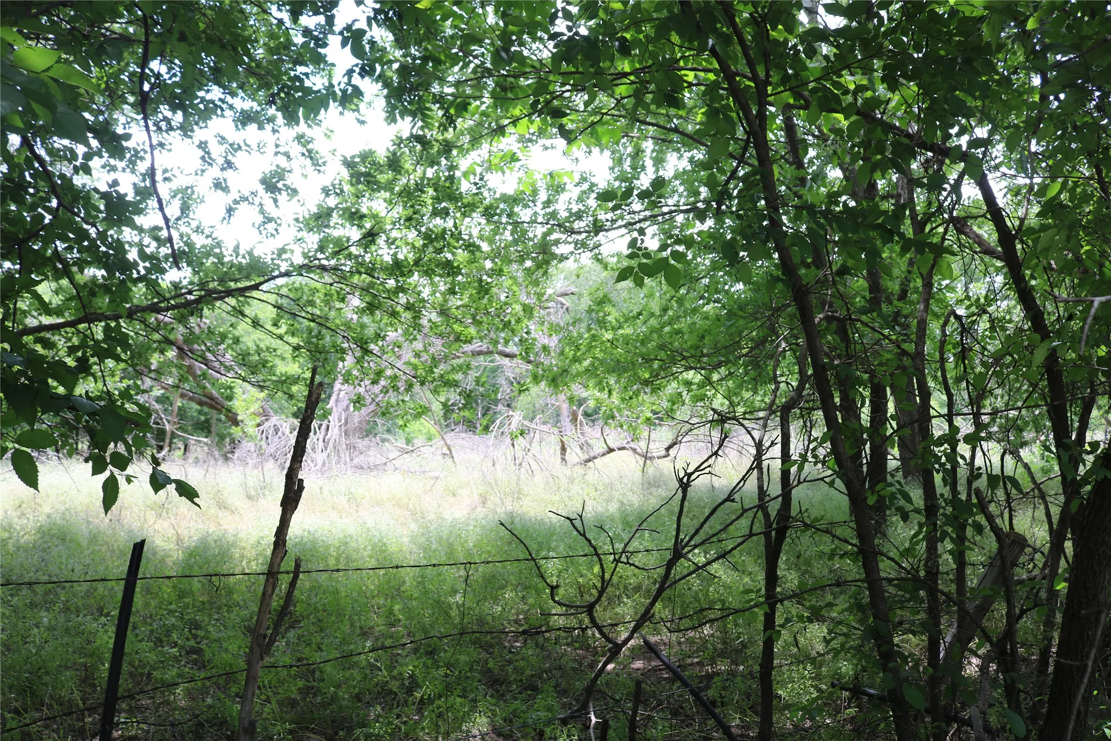 Unimproved Land For Sale in Erath County , 000 County Road 282, Dublin, Texas 76446, 0, 0, Garage spaces, 0 Sqft, built in 0, Price $24,750, mls#21295554, Real Estate Agent in Dublin, Homes For Sale in Erath county, Homes For Sale in Dublin, Realtor in Dublin Texas, Real Estate Brokerage Independent Realty Texas, Luminita Cordes Realtor