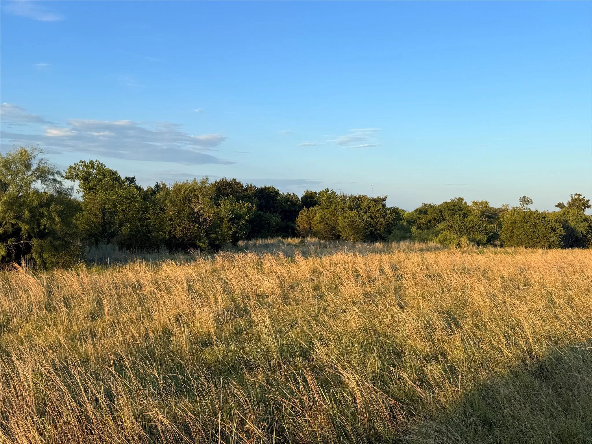 Apartment For Sale in Hamilton County , 1456 W. HWY 36, Hamilton, Texas 76531, 1 Bedroom, 1 Bathroom, 1 Garage spaces, 300 Sqft, built in 2017, mls#21350599, Real Estate Agent in Hamilton, Homes For Sale in Hamilton county, Homes For Sale in Hamilton, Realtor in Hamilton Texas, Real Estate Brokerage Independent Realty Texas, Luminita Cordes Realtor