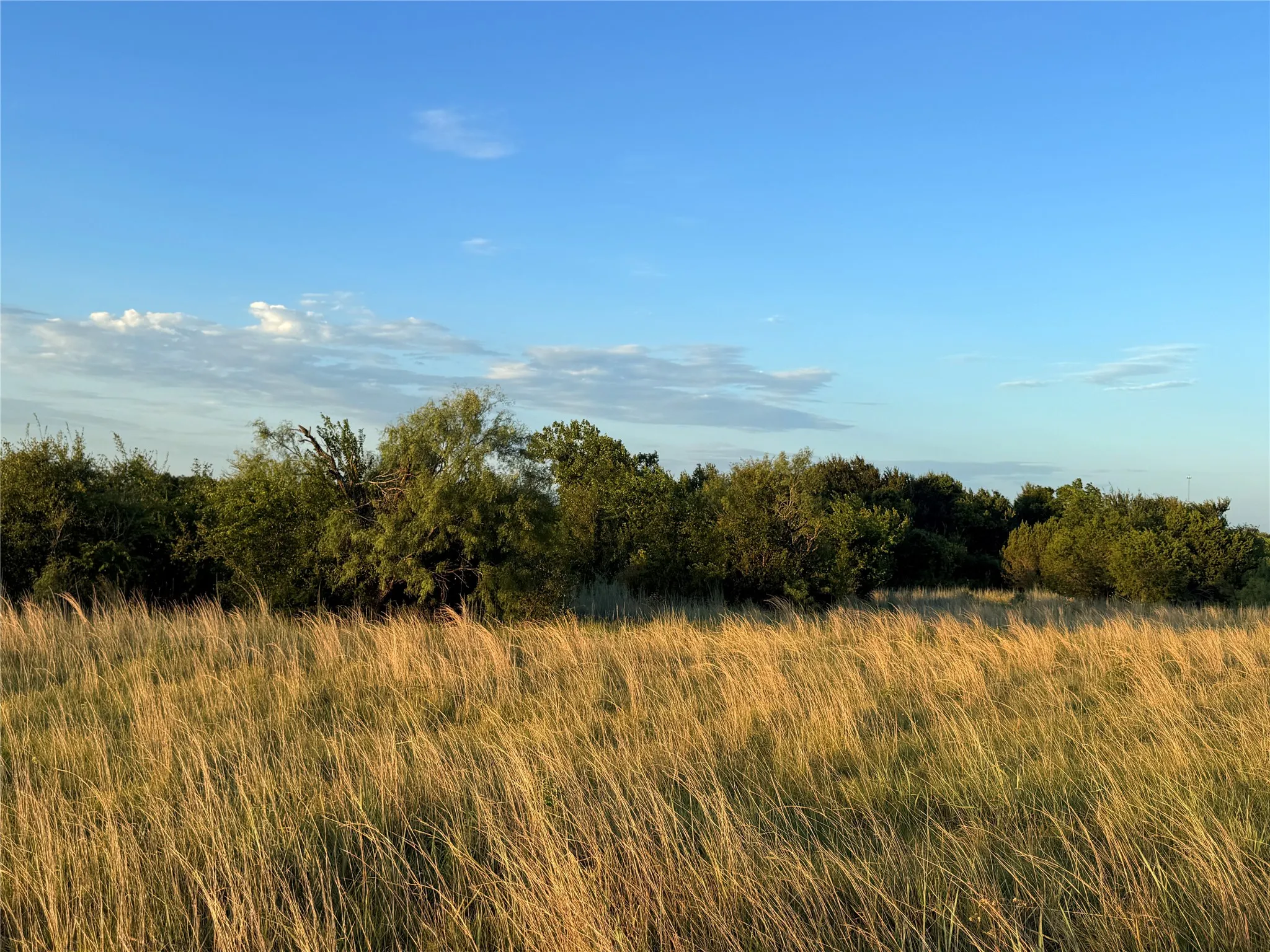 Apartment For Sale in Hamilton County , 1456 W. HWY 36, Hamilton, Texas 76531, 1 Bedroom, 1 Bathroom, 1 Garage spaces, 300 Sqft, built in 2017, mls#21350599, Real Estate Agent in Hamilton, Homes For Sale in Hamilton county, Homes For Sale in Hamilton, Realtor in Hamilton Texas, Real Estate Brokerage Independent Realty Texas, Luminita Cordes Realtor