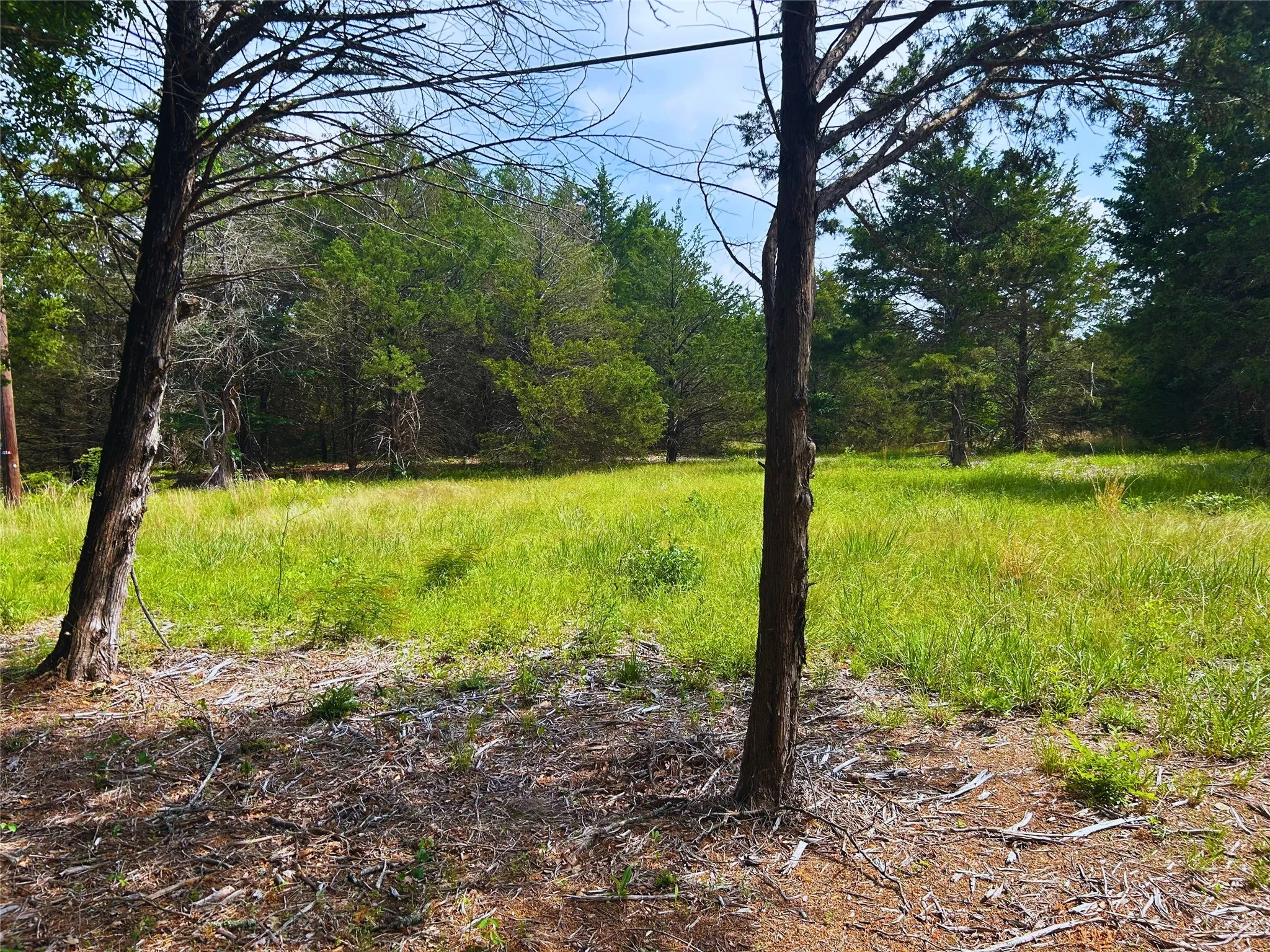 Unimproved Land For Sale in Hunt County , Lot 1 North Shore Road, Quinlan, Texas 75474, 0, 0, Garage spaces, 0 Sqft, built in 0, mls#21349221, Real Estate Agent in Quinlan, Homes For Sale in Hunt county, Homes For Sale in Quinlan, Realtor in Quinlan Texas, Real Estate Brokerage Independent Realty Texas, Luminita Cordes Realtor