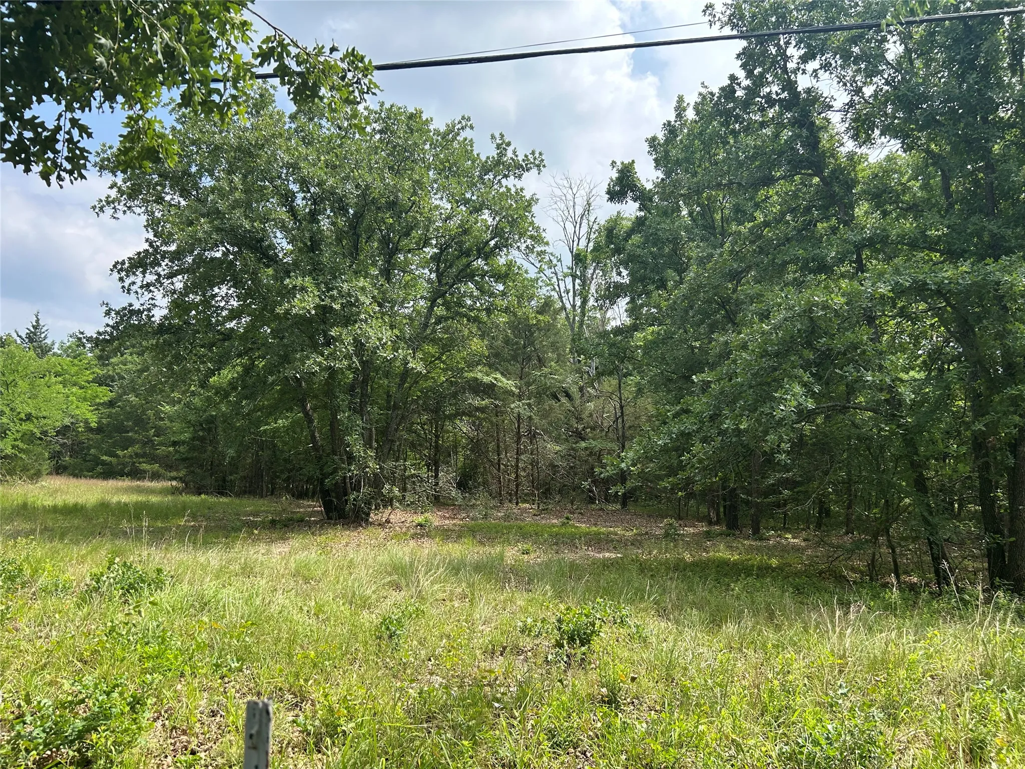 Unimproved Land For Sale in Hunt County , Lot 1 North Shore Road, Quinlan, Texas 75474, 0, 0, Garage spaces, 0 Sqft, built in 0, mls#21349221, Real Estate Agent in Quinlan, Homes For Sale in Hunt county, Homes For Sale in Quinlan, Realtor in Quinlan Texas, Real Estate Brokerage Independent Realty Texas, Luminita Cordes Realtor