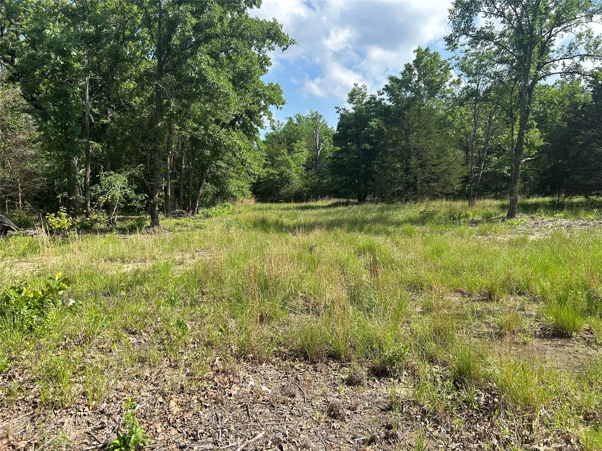 Unimproved Land For Sale in Hunt County , Lot 1 North Shore Road, Quinlan, Texas 75474, 0, 0, Garage spaces, 0 Sqft, built in 0, mls#21349221, Real Estate Agent in Quinlan, Homes For Sale in Hunt county, Homes For Sale in Quinlan, Realtor in Quinlan Texas, Real Estate Brokerage Independent Realty Texas, Luminita Cordes Realtor
