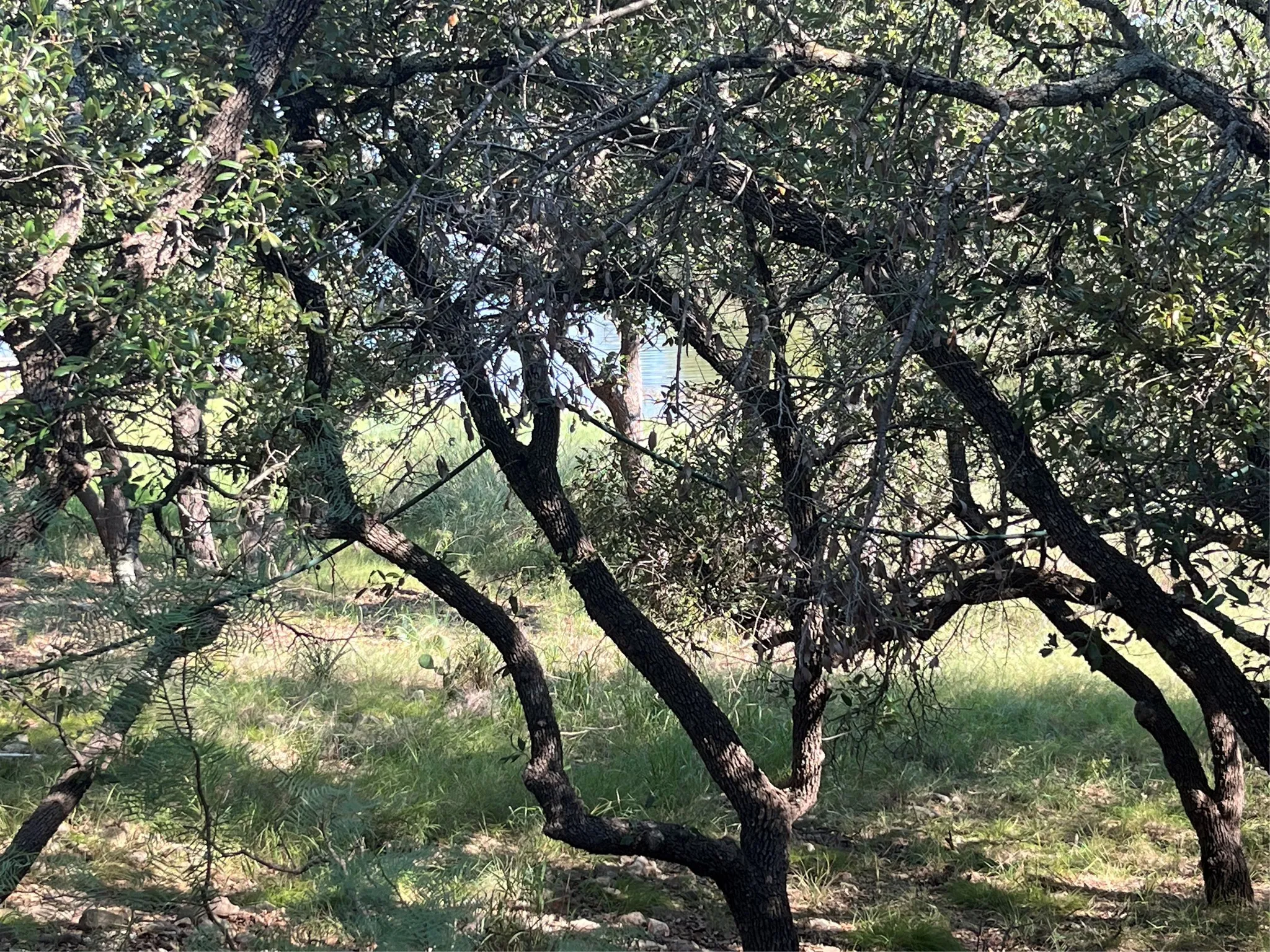 Improved Land For Sale in Brown County , Lot 775, 776 Oak Point Drive, May, Texas 76857, 0, 0, Garage spaces, 0 Sqft, built in 0, mls#21349104, Real Estate Agent in May, Homes For Sale in Brown county, Homes For Sale in May, Realtor in May Texas, Real Estate Brokerage Independent Realty Texas, Luminita Cordes Realtor