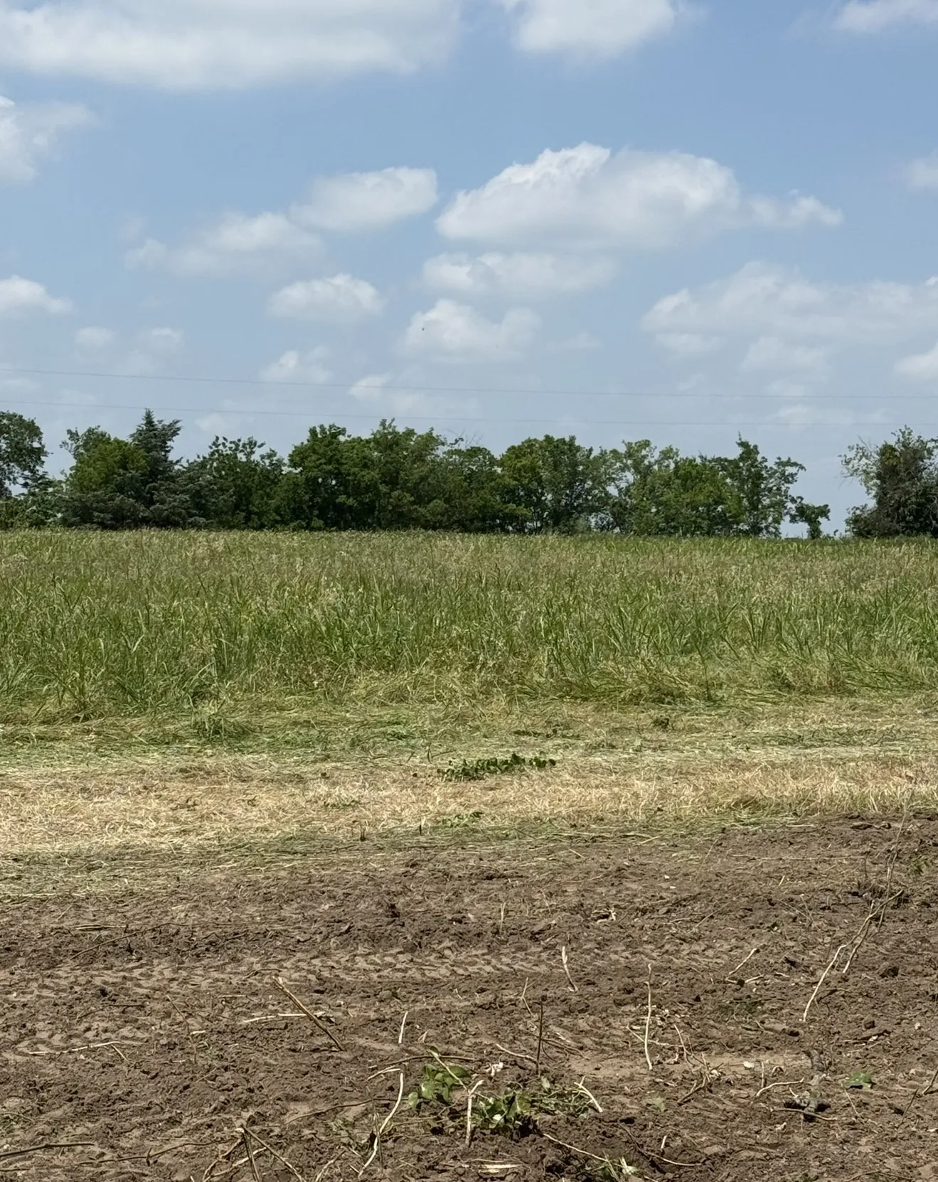 Unimproved Land For Sale in Kaufman County , Lot 1 County Road 308, Terrell, Texas 75161, 0, 0, Garage spaces, 0 Sqft, built in 0, Price $285,000, mls#21350296, Real Estate Agent in Terrell, Homes For Sale in Kaufman county, Homes For Sale in Terrell, Realtor in Terrell Texas, Real Estate Brokerage Independent Realty Texas, Luminita Cordes Realtor