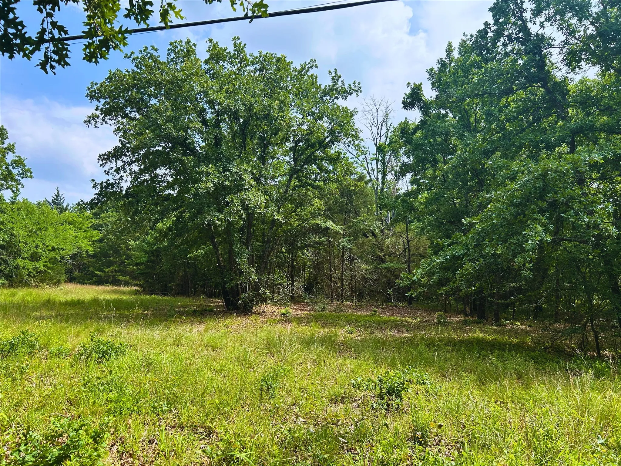 Unimproved Land For Sale in Hunt County , Lot 2 North Shore Road, Quinlan, Texas 75474, 0, 0, Garage spaces, 0 Sqft, built in 0, mls#21349231, Real Estate Agent in Quinlan, Homes For Sale in Hunt county, Homes For Sale in Quinlan, Realtor in Quinlan Texas, Real Estate Brokerage Independent Realty Texas, Luminita Cordes Realtor