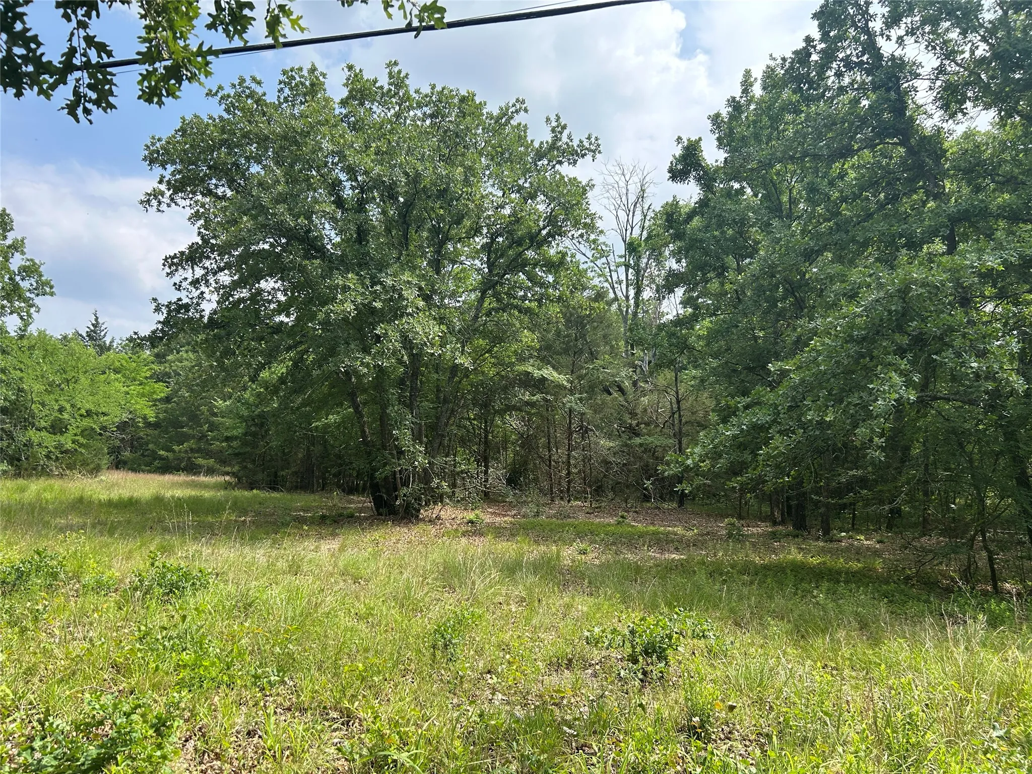 Unimproved Land For Sale in Hunt County , Lot 2 North Shore Road, Quinlan, Texas 75474, 0, 0, Garage spaces, 0 Sqft, built in 0, mls#21349231, Real Estate Agent in Quinlan, Homes For Sale in Hunt county, Homes For Sale in Quinlan, Realtor in Quinlan Texas, Real Estate Brokerage Independent Realty Texas, Luminita Cordes Realtor