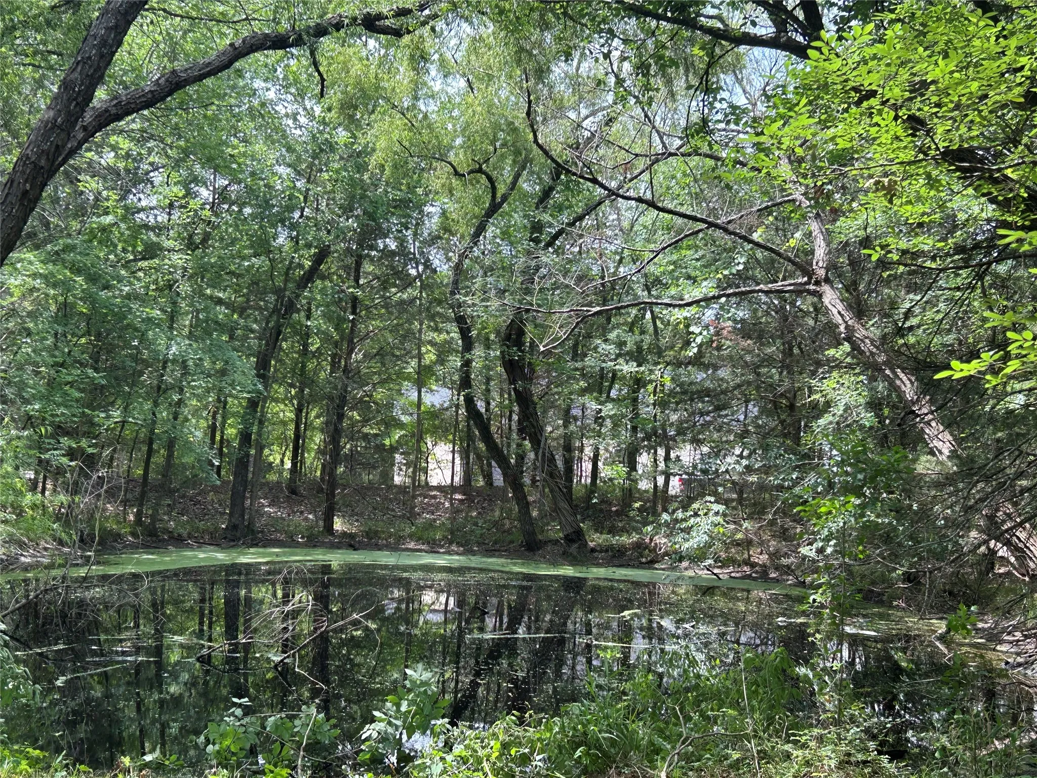 Pond is shared with lot 4