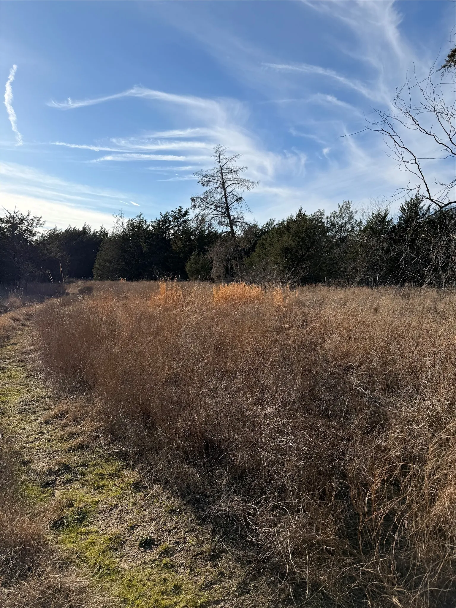 Ranch For Sale in Navarro County , 3117 County Road 2130, Corsicana, Texas 75109, 0, 0, Garage spaces, 0 Sqft, built in 0, mls#21350685, Real Estate Agent in Corsicana, Homes For Sale in Navarro county, Homes For Sale in Corsicana, Realtor in Corsicana Texas, Real Estate Brokerage Independent Realty Texas, Luminita Cordes Realtor