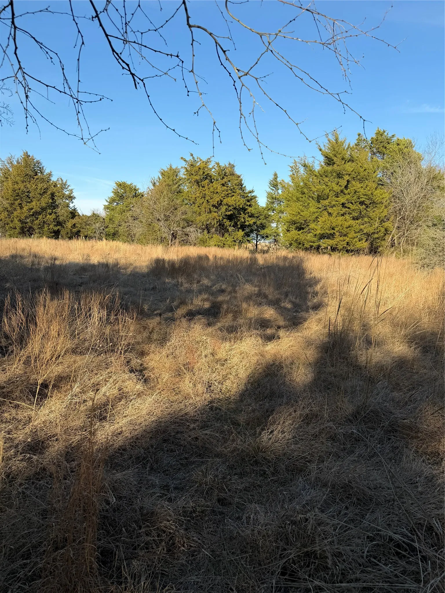Ranch For Sale in Navarro County , 3117 County Road 2130, Corsicana, Texas 75109, 0, 0, Garage spaces, 0 Sqft, built in 0, mls#21350685, Real Estate Agent in Corsicana, Homes For Sale in Navarro county, Homes For Sale in Corsicana, Realtor in Corsicana Texas, Real Estate Brokerage Independent Realty Texas, Luminita Cordes Realtor