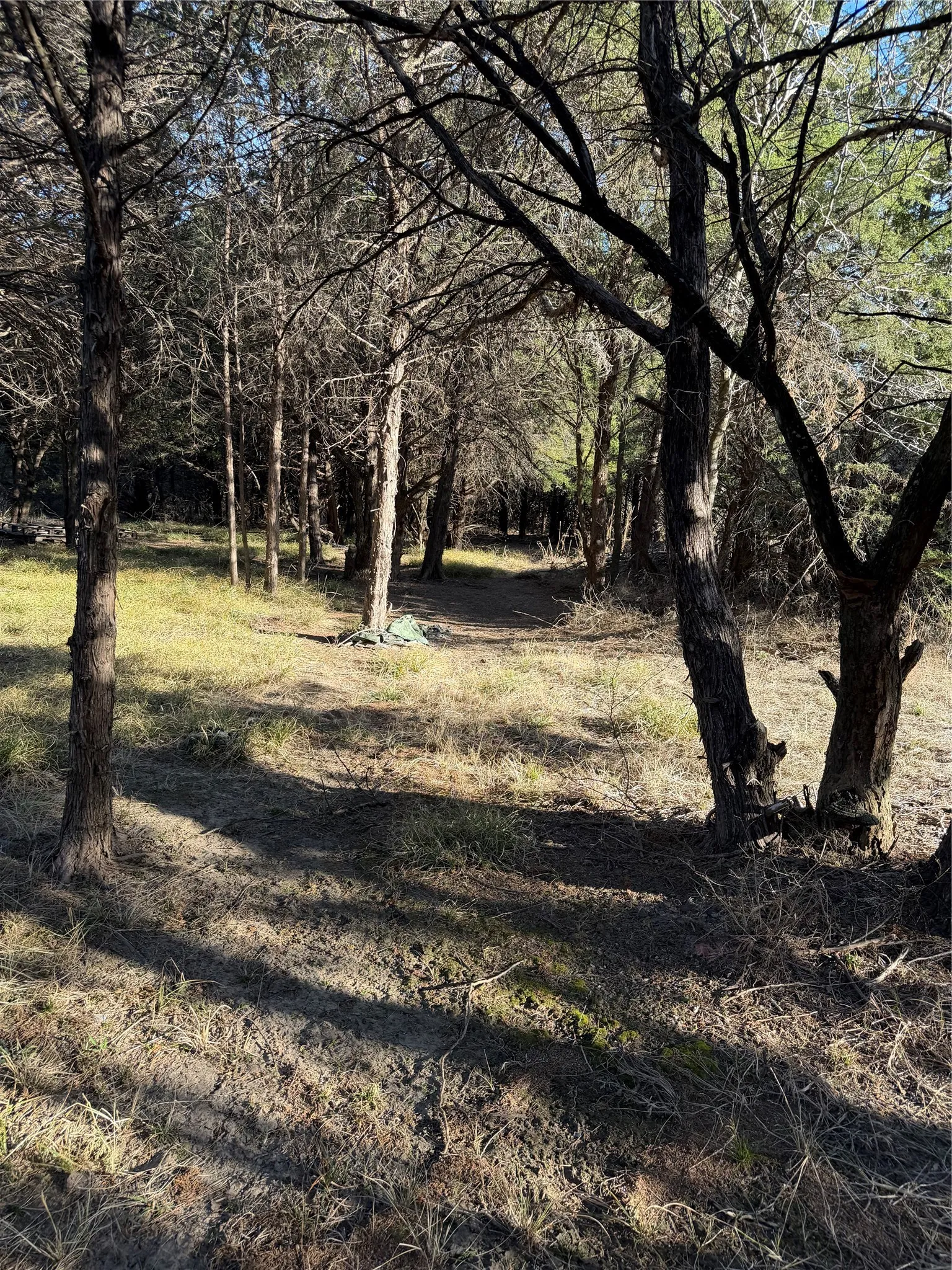 Ranch For Sale in Navarro County , 3117 County Road 2130, Corsicana, Texas 75109, 0, 0, Garage spaces, 0 Sqft, built in 0, mls#21350685, Real Estate Agent in Corsicana, Homes For Sale in Navarro county, Homes For Sale in Corsicana, Realtor in Corsicana Texas, Real Estate Brokerage Independent Realty Texas, Luminita Cordes Realtor