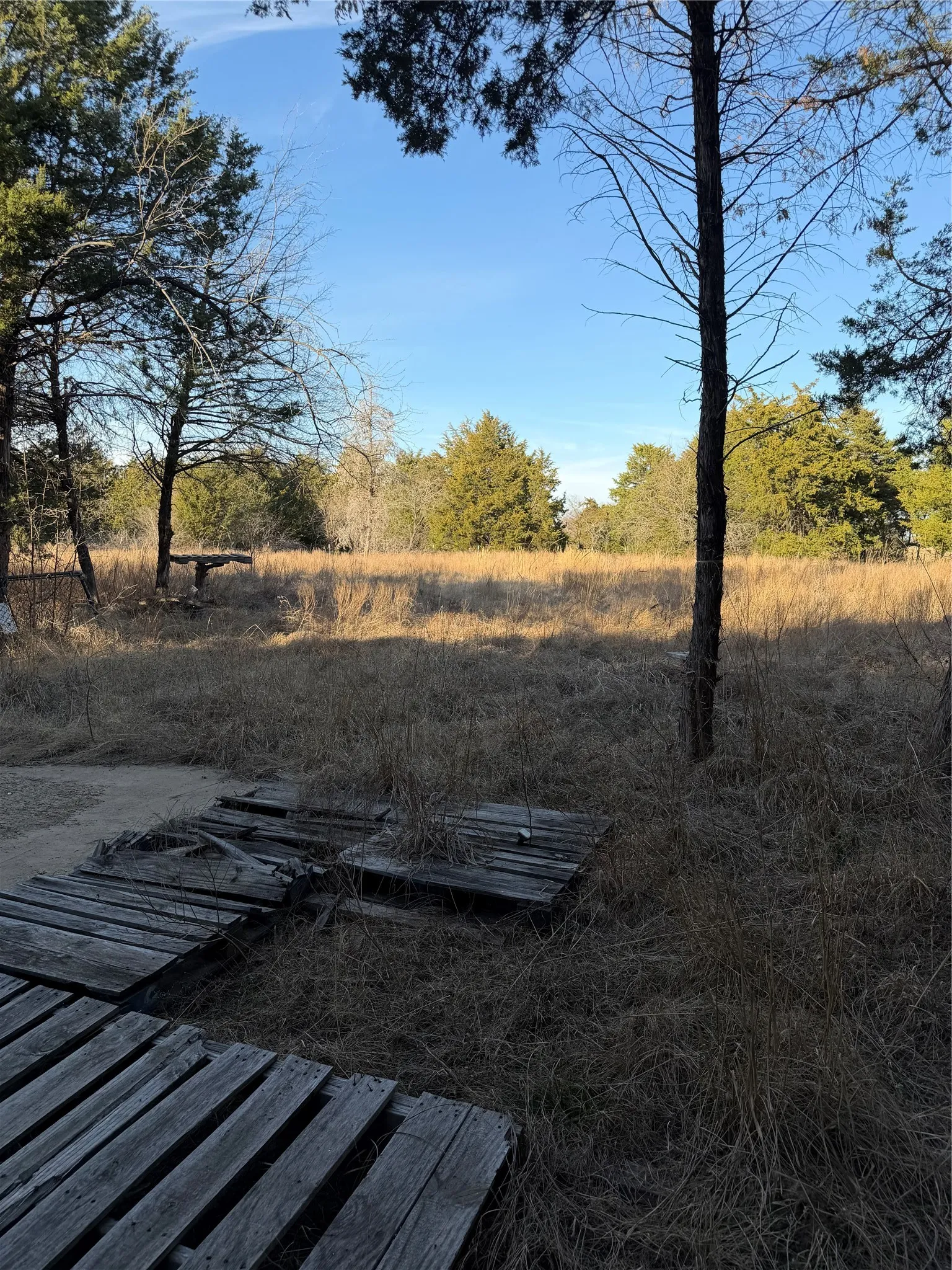 Ranch For Sale in Navarro County , 3117 County Road 2130, Corsicana, Texas 75109, 0, 0, Garage spaces, 0 Sqft, built in 0, mls#21350685, Real Estate Agent in Corsicana, Homes For Sale in Navarro county, Homes For Sale in Corsicana, Realtor in Corsicana Texas, Real Estate Brokerage Independent Realty Texas, Luminita Cordes Realtor