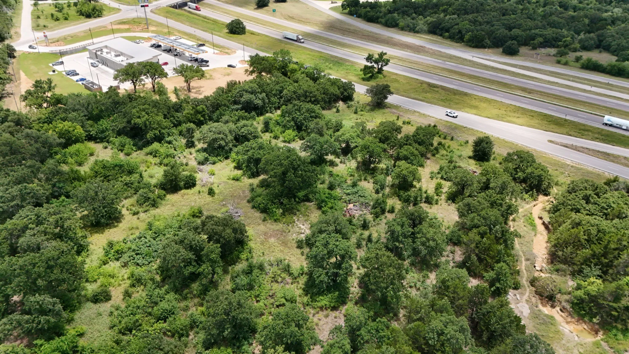 Expansive undeveloped land featuring mature trees and varied vegetation