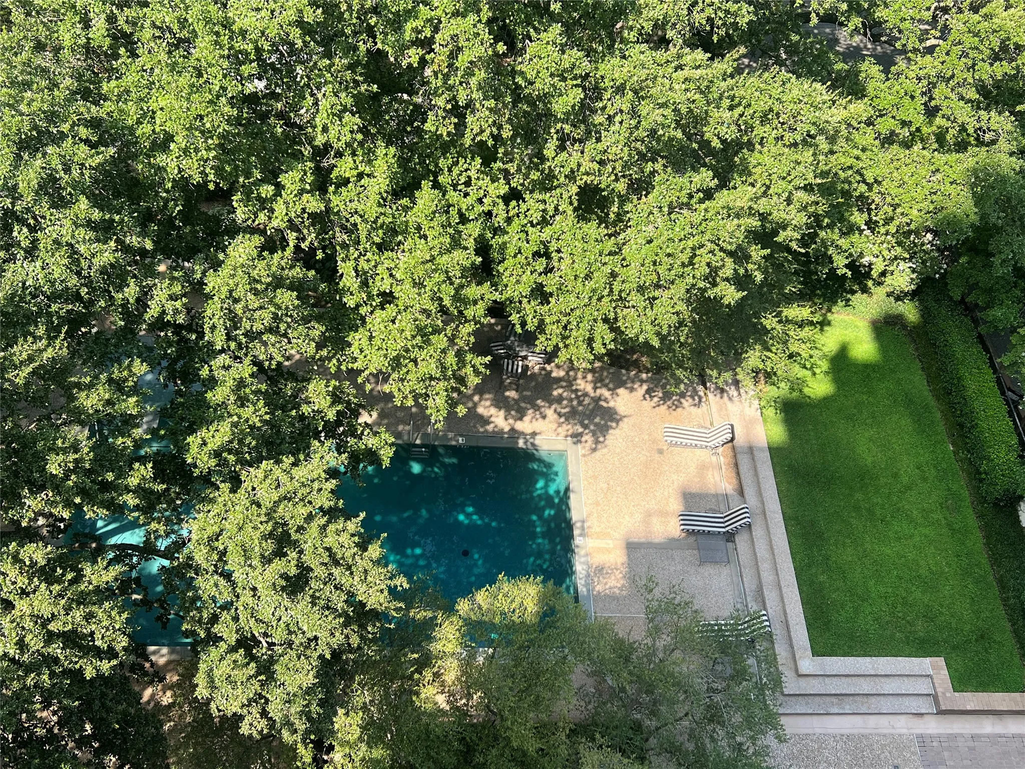 A canopy of trees envelope the swimming pool allowing a tanning area for those wanting more sunshine. Every space is thoughtfully curated.