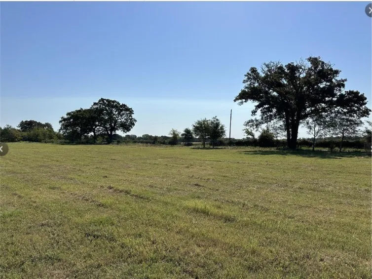 Expansive grassy field with mature trees providing natural shading