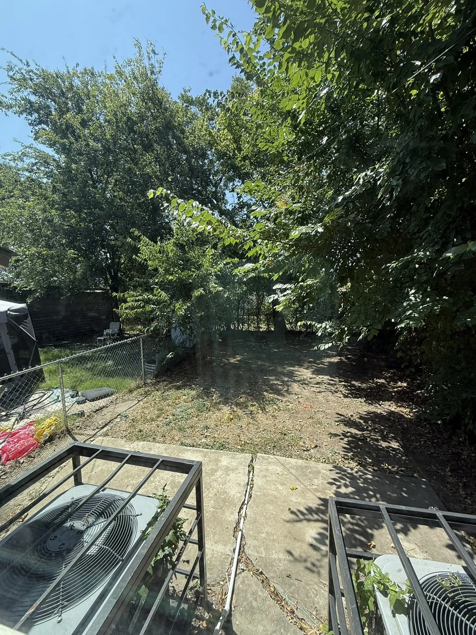 Spacious backyard with mature tree canopy providing natural shade and privacy