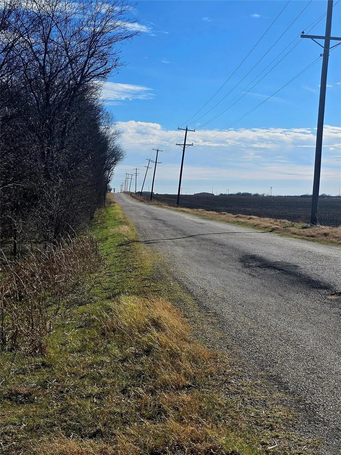 Paved road with a natural grass and brush verge, bordered by a line of utility poles and a clear sky overhead