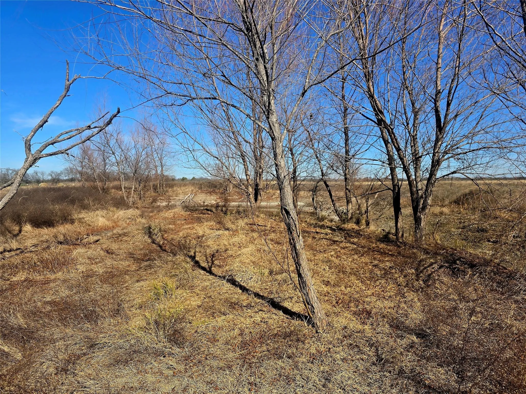 Unimproved Land For Sale in Ellis County , TBD B Lane Lane, Ennis, Texas 75119, 0, 0, Garage spaces, 0 Sqft, built in 0, Price $750,000, mls#21350741, Real Estate Agent in Ennis, Homes For Sale in Ellis county, Homes For Sale in Ennis, Realtor in Ennis Texas, Real Estate Brokerage Independent Realty Texas, Luminita Cordes Realtor