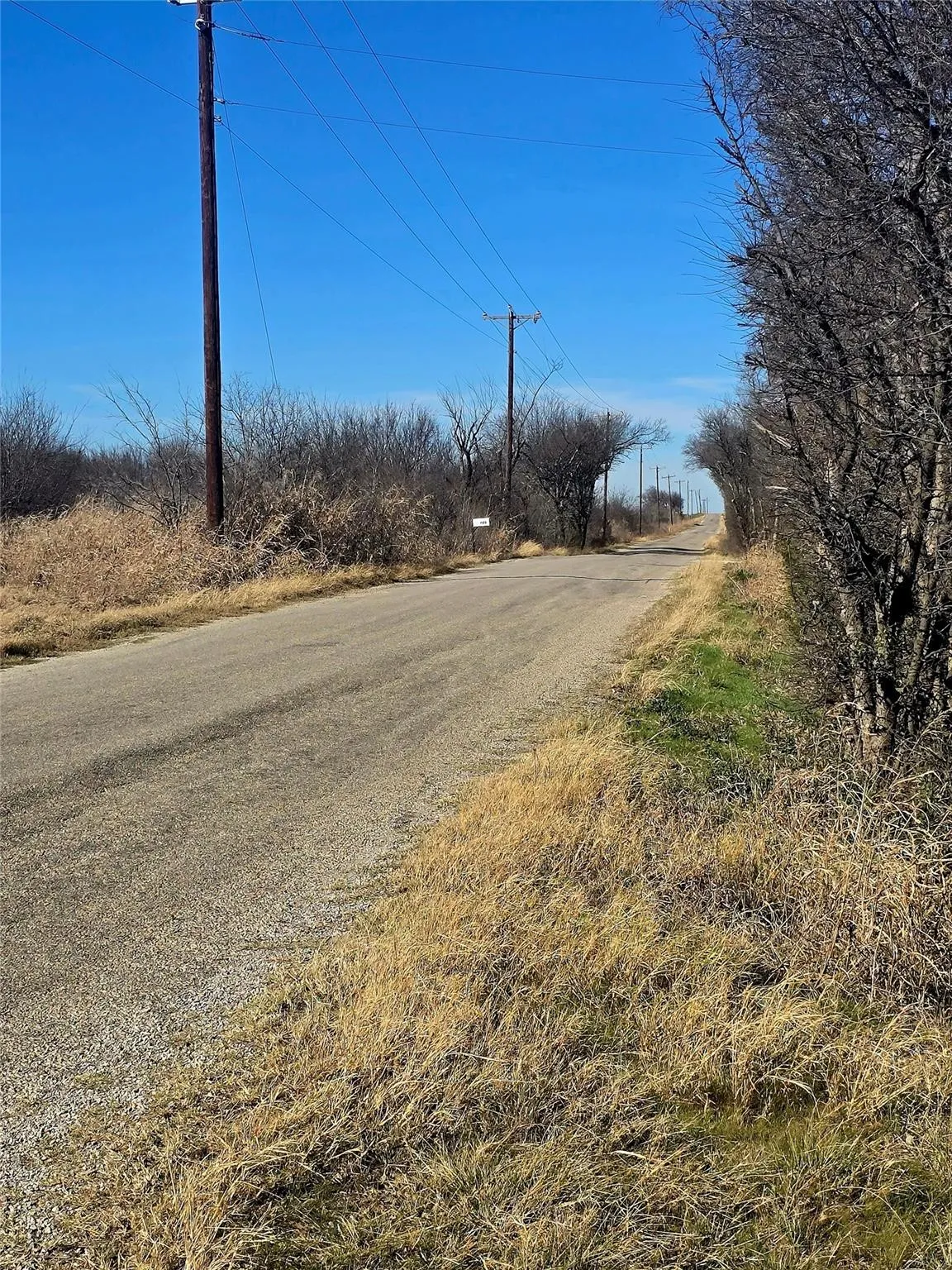 Gravel road bordered by dry grasses and mature, leafless trees