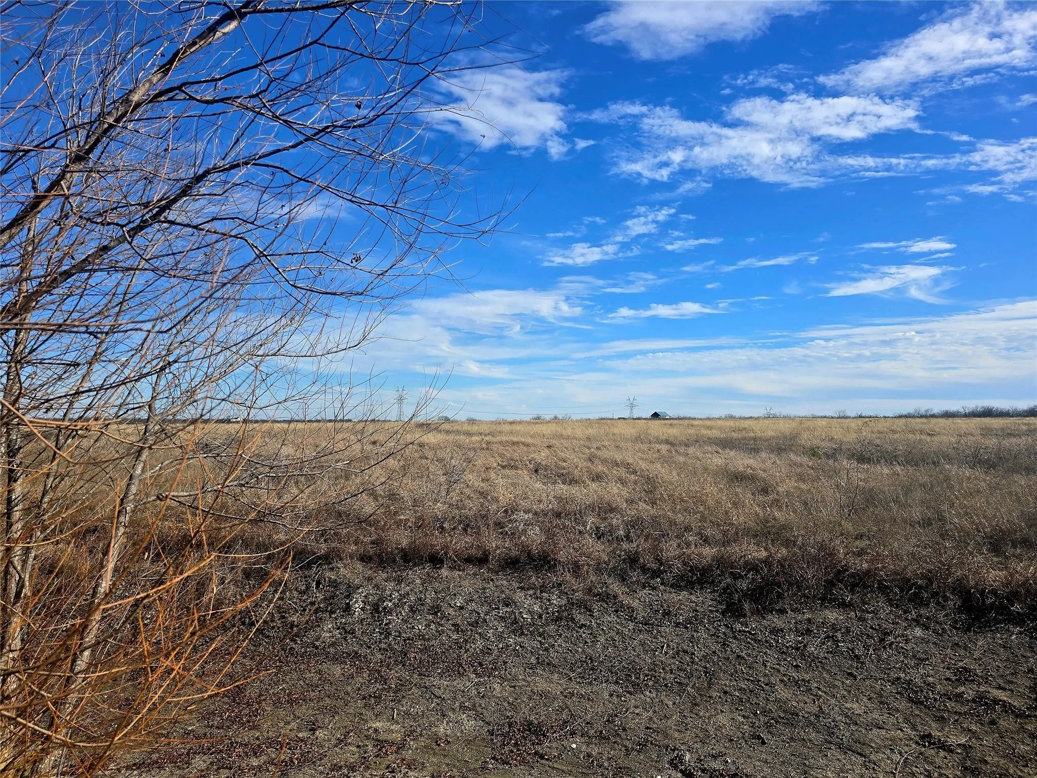 Expansive open land with natural grasses under a broad blue sky